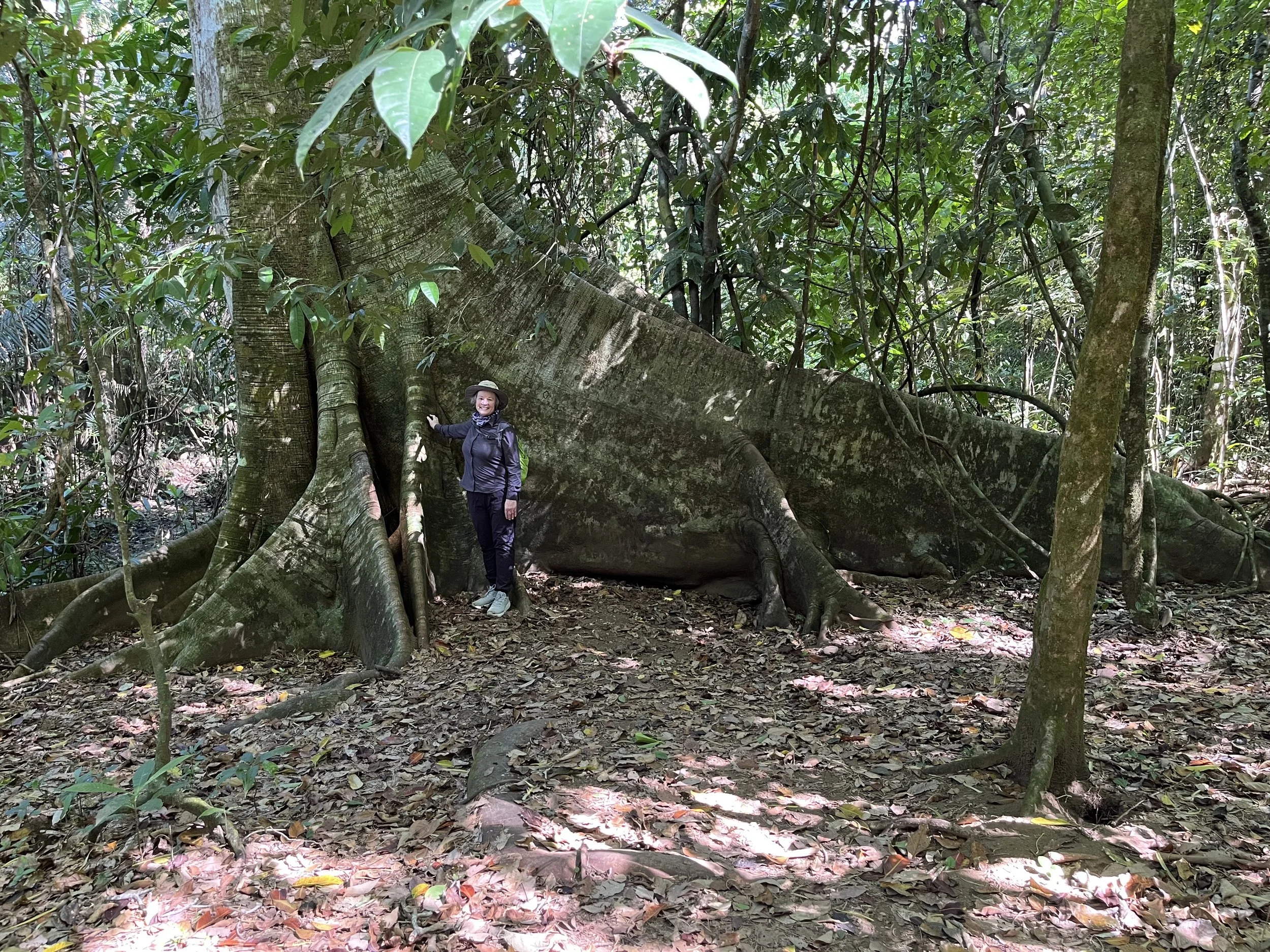 Corcovado National Park: A Solo Wildlife Adventure at the Edge of the World