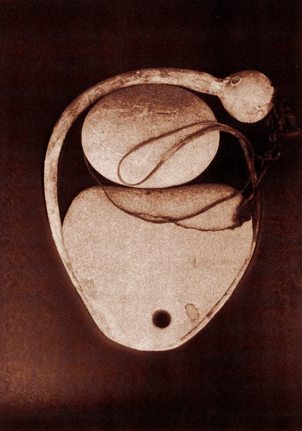 Large Stones with Sea Plant