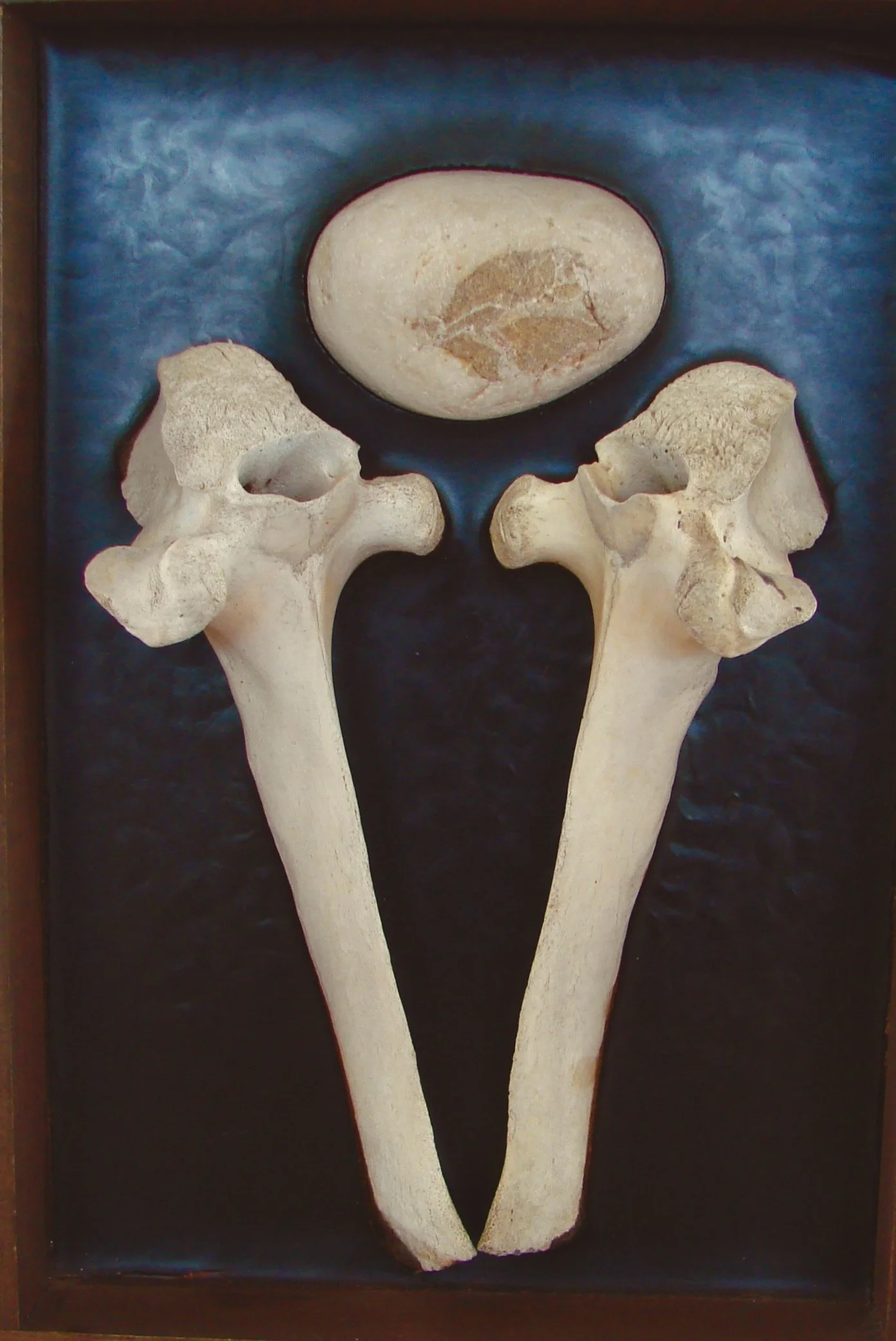 Egg-stone with Bones