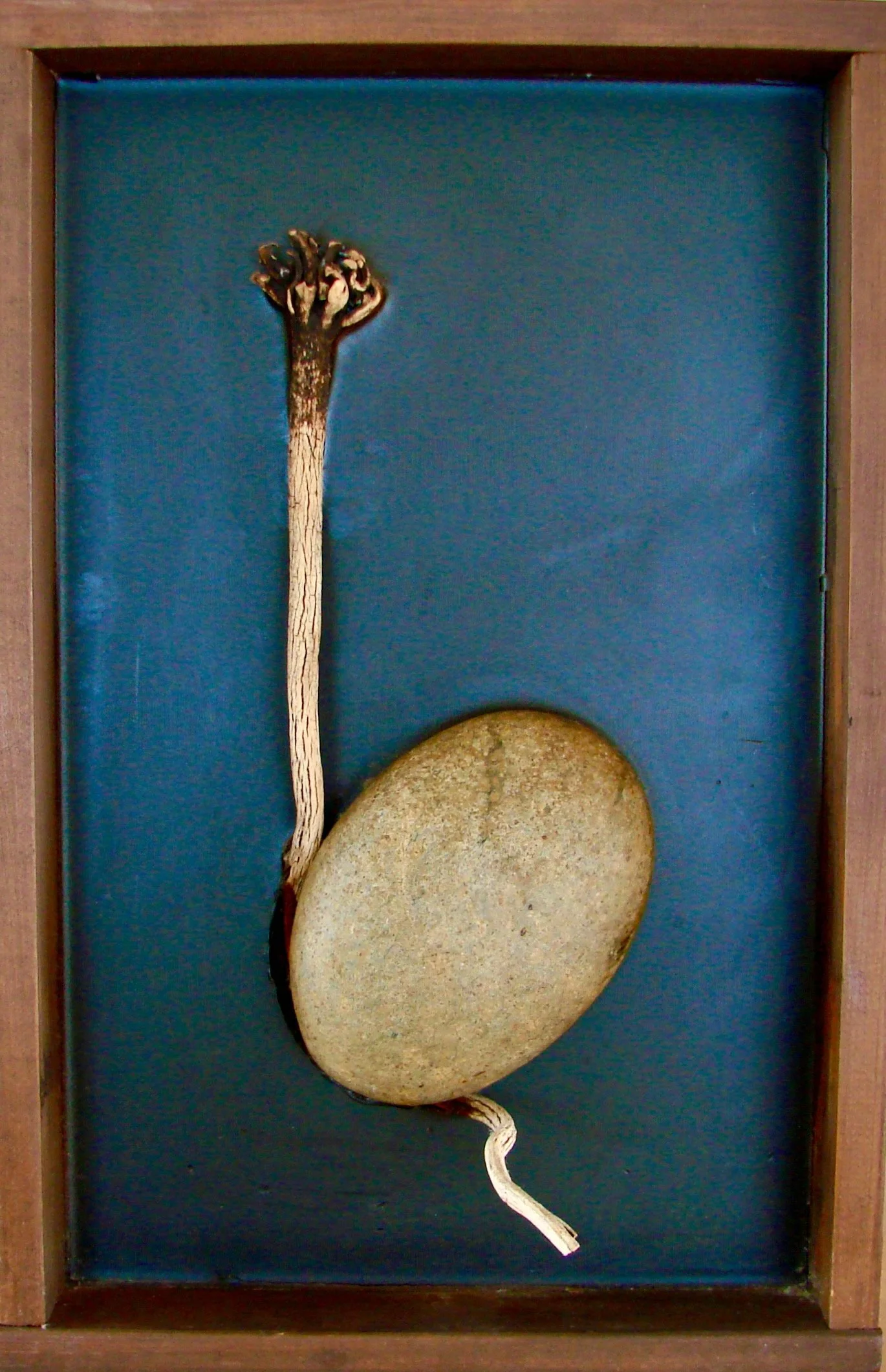 Oval Stone with Sea Plant