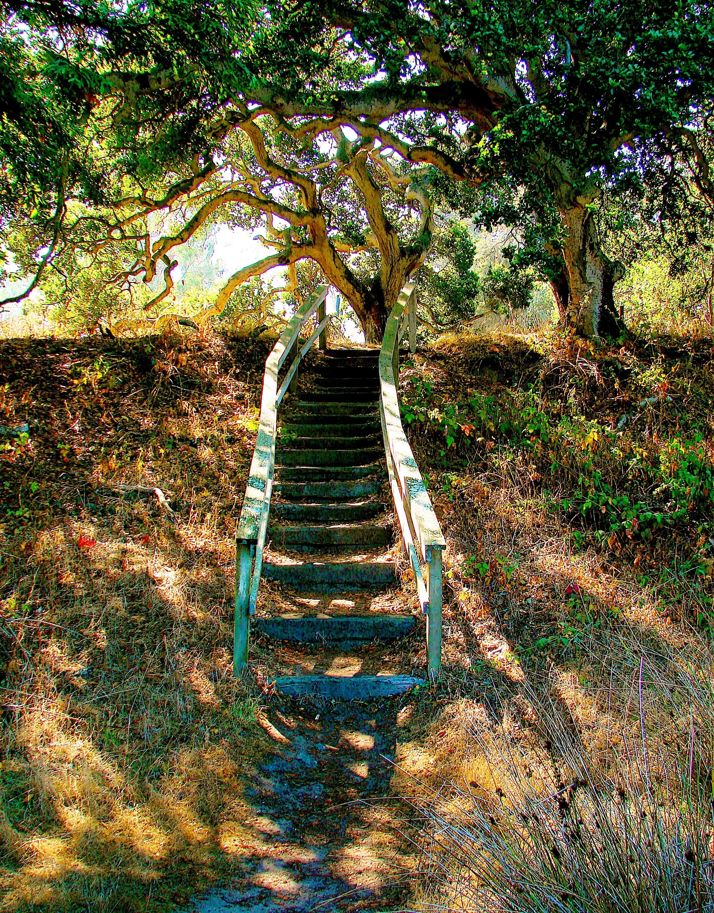 Oak Grove Stairway
