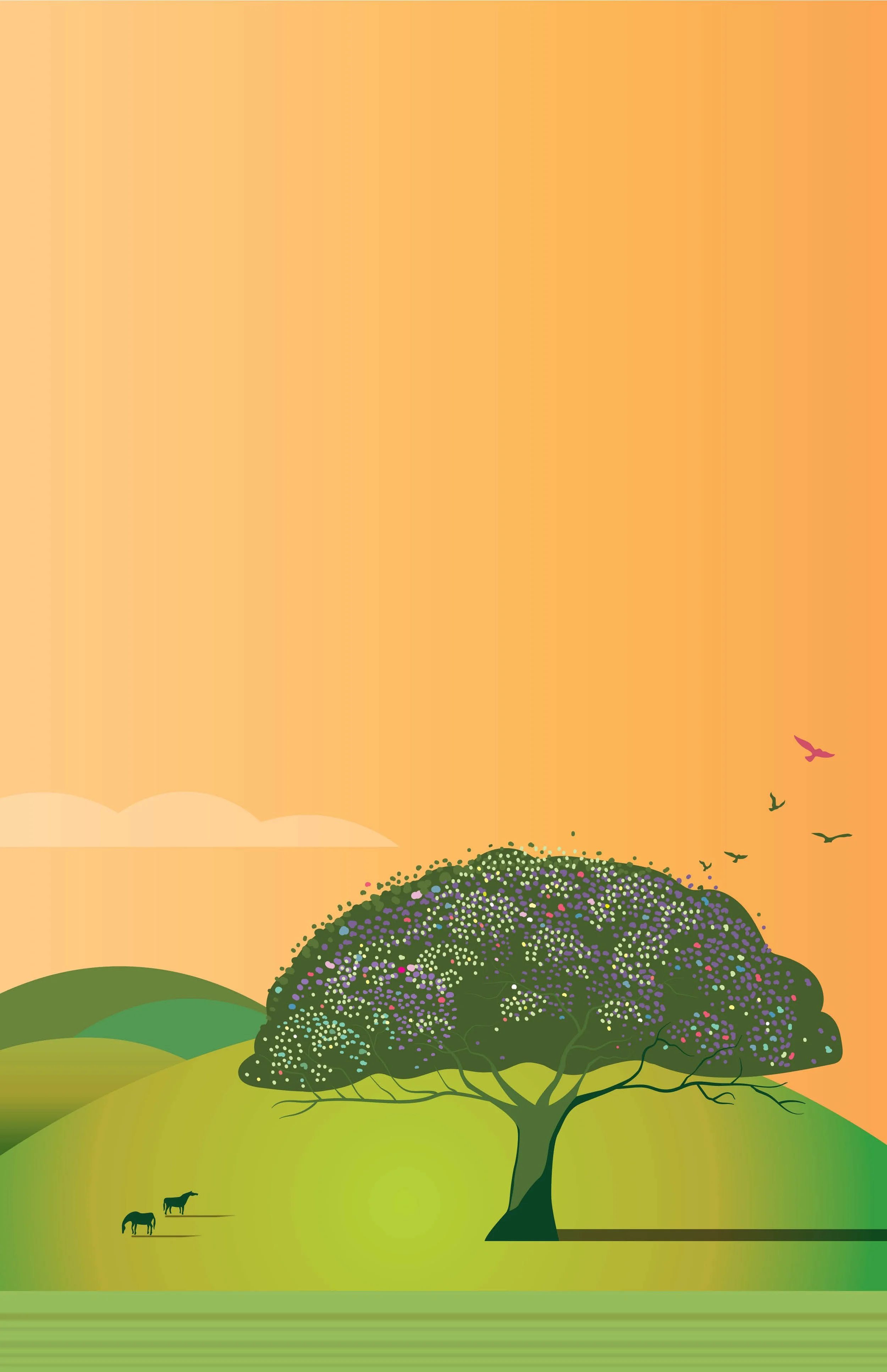 illustration website40.jpg