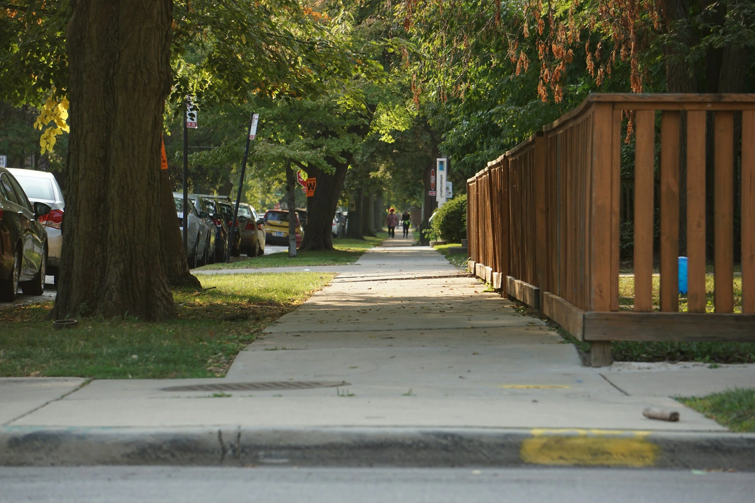 Tree-lined sidewalk in Bamber Valley, Rochester MN