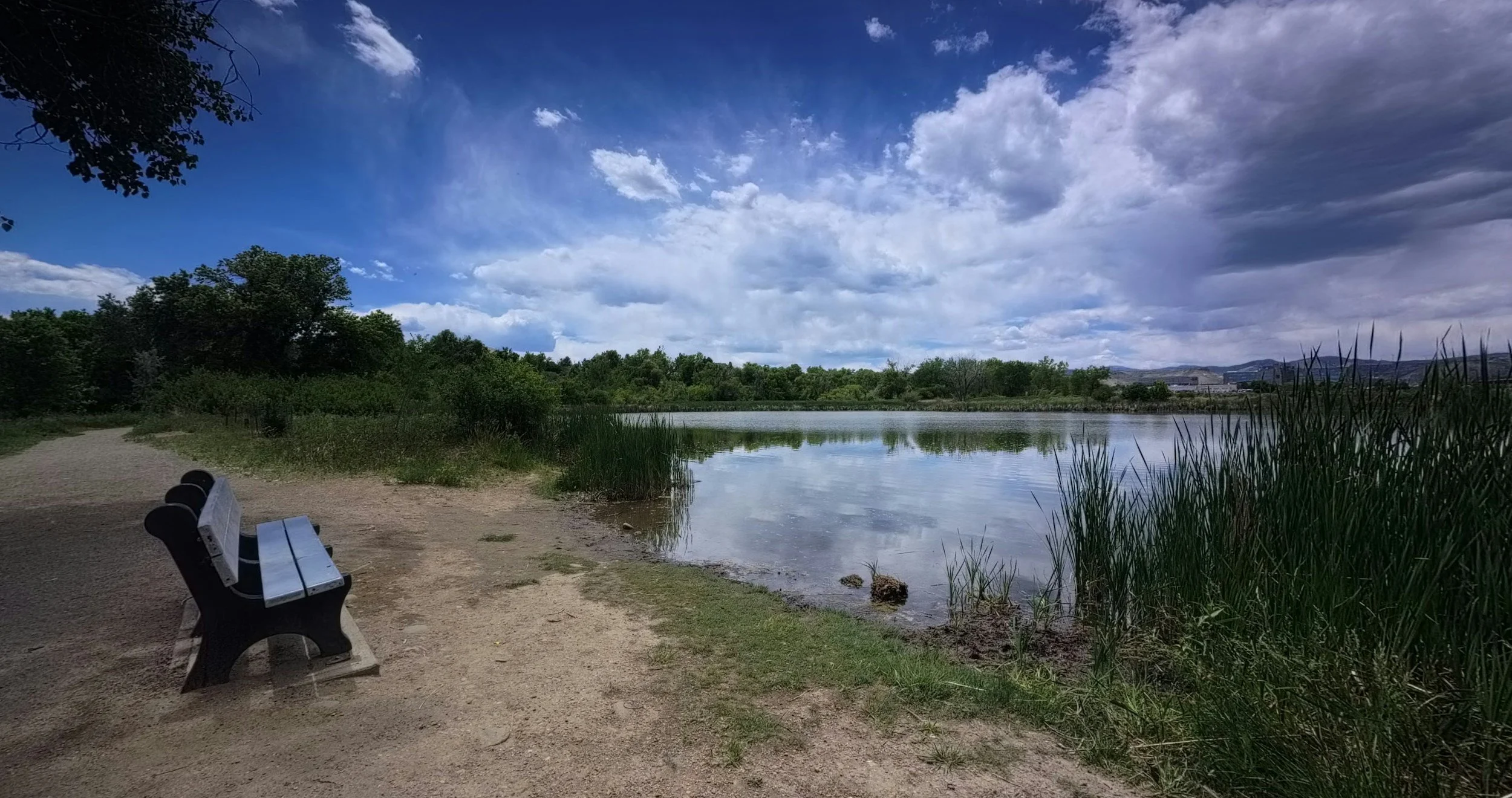 Lake Zumbro shoreline park near Oronoco, MN