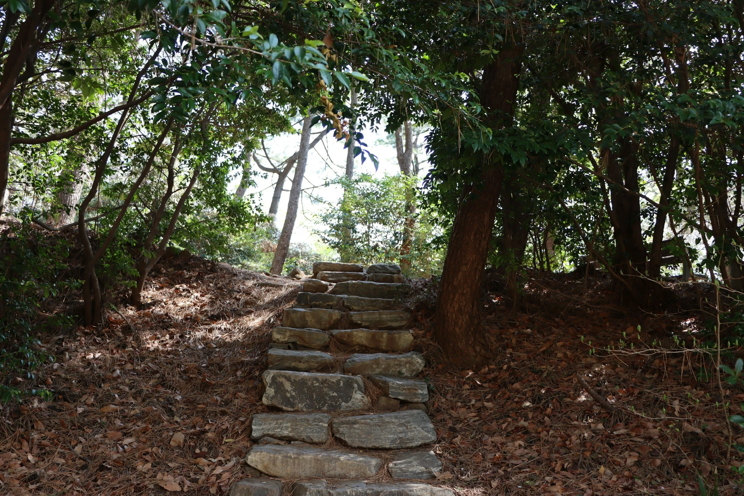 Wooded stone stairway trail in a Rochester, Minnesota park