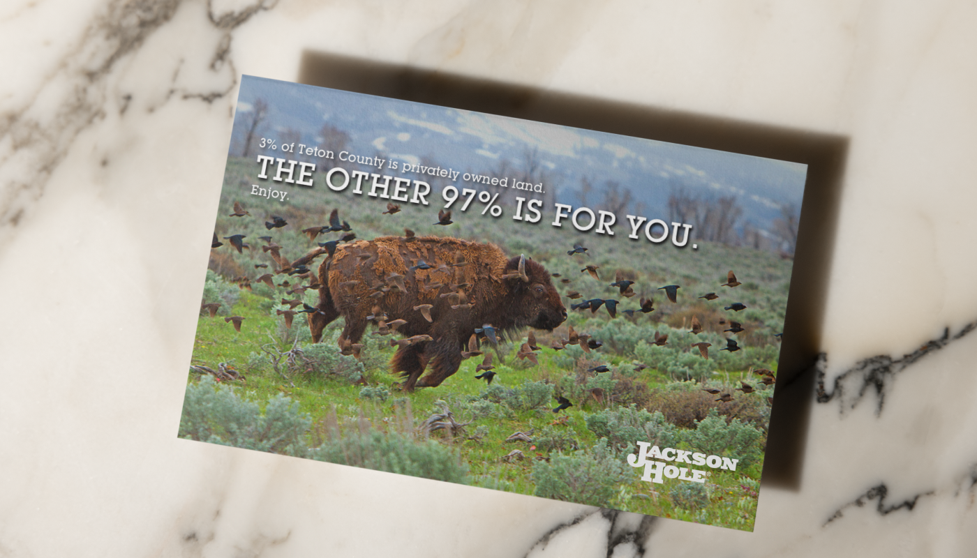 Sample graphic-print-3.png