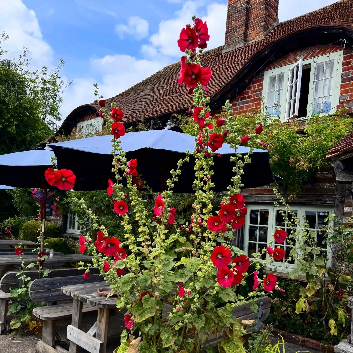 Spring&rsquo;s started to defrost us all, and we can already feel the shift at The George!

Just a few days of sunshine and our locals are smiling more, laughing louder, and everyone seems a little lighter.

We can&rsquo;t wait for the return of our 