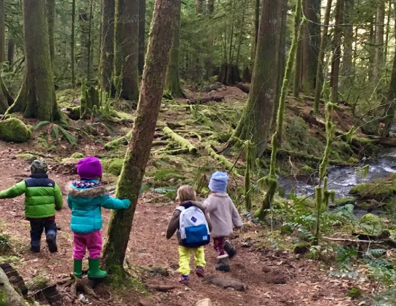 Young children walking together along a forest trail during outdoor learning at Skyridge Montessori.