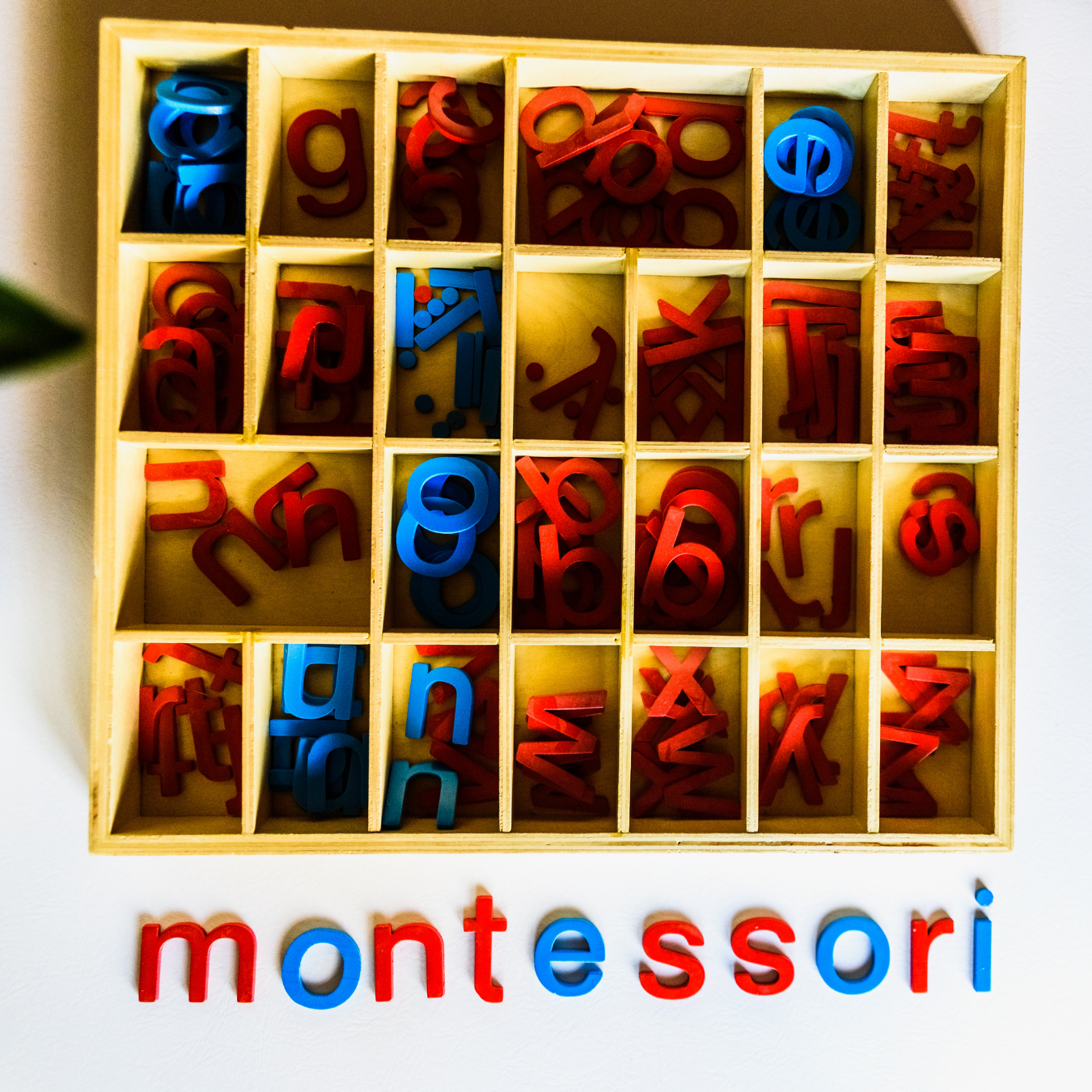 Wooden tray with compartments holding red and blue Montessori letter materials.