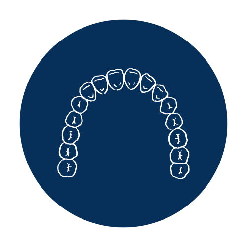 Line drawing of a dental arch with teeth, depicted on a dark blue circular background.