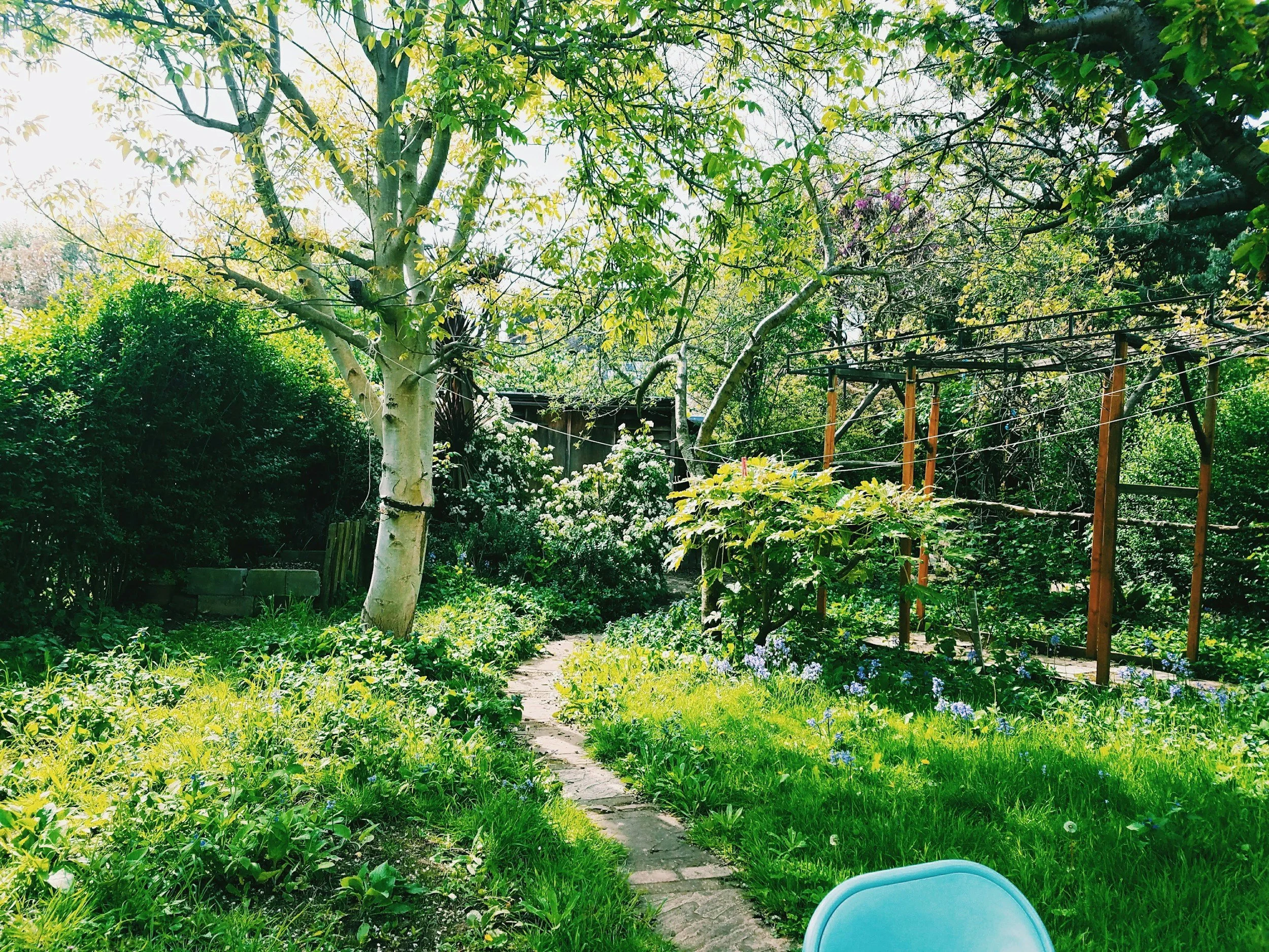 Tree trimming and Removal