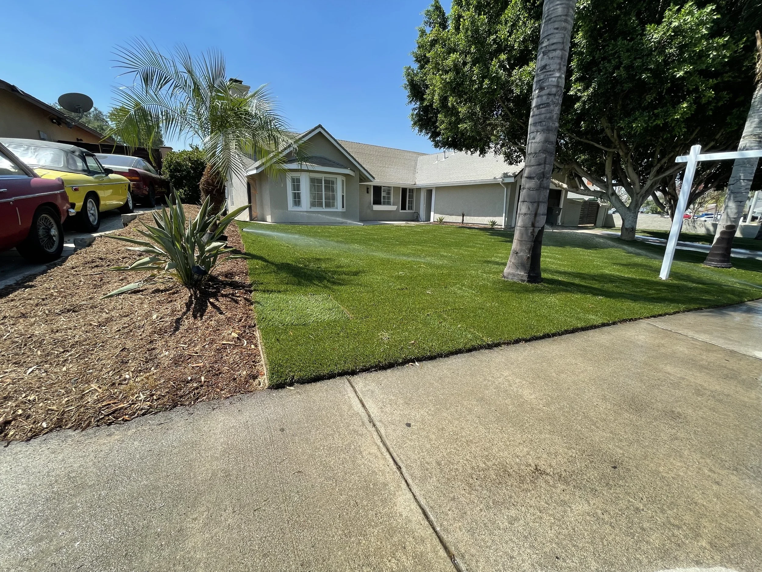 Curb appeal boost with Sod, Mulch, and Plants