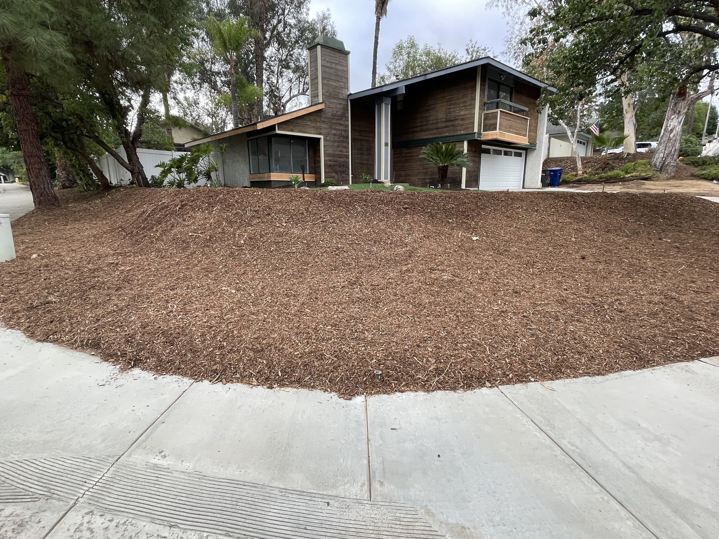 Over grown property cleaned