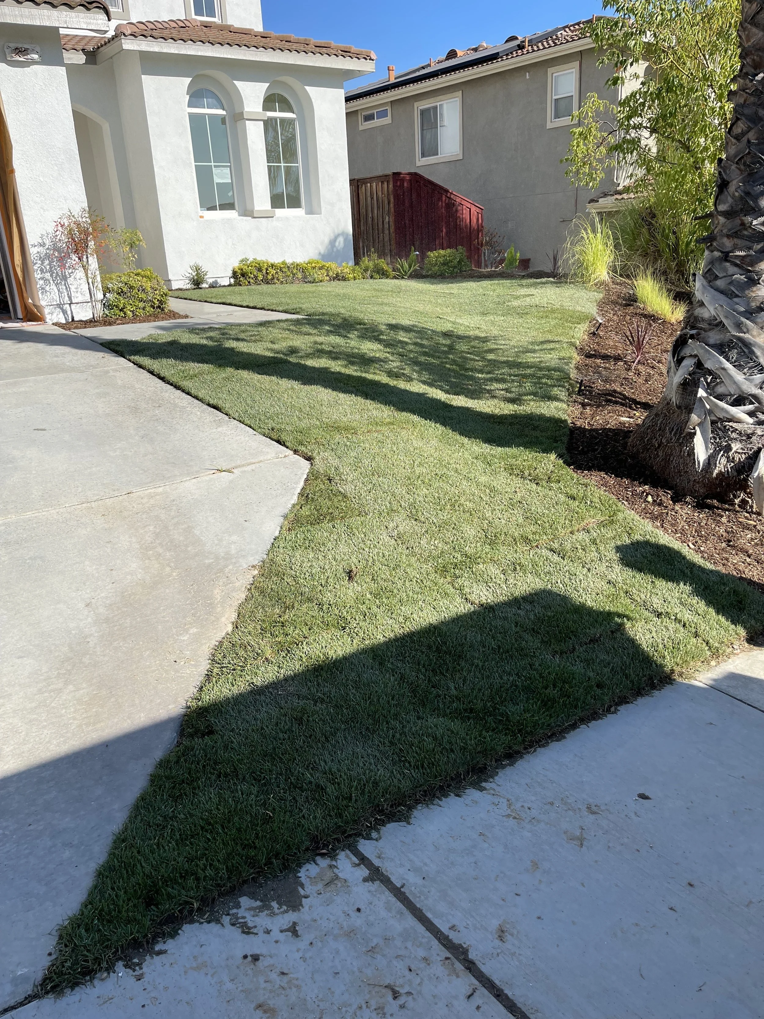 Clean Up and Curb appeal boost