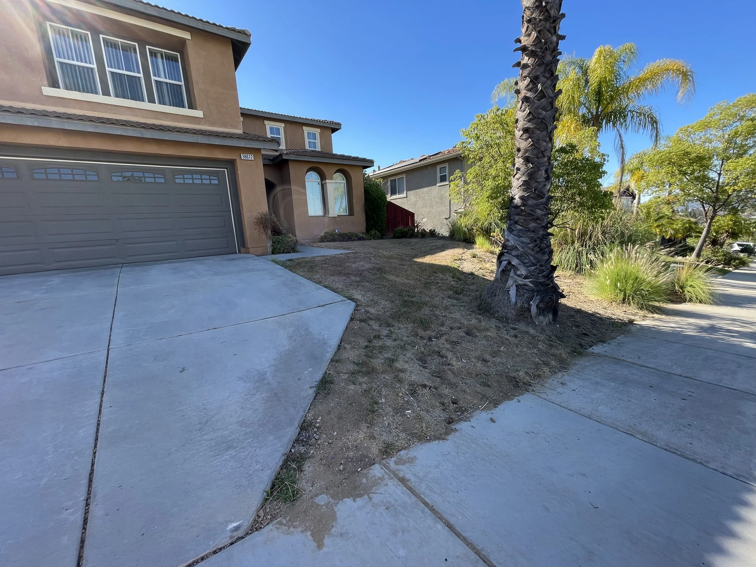 Clean Up and Curb appeal boost