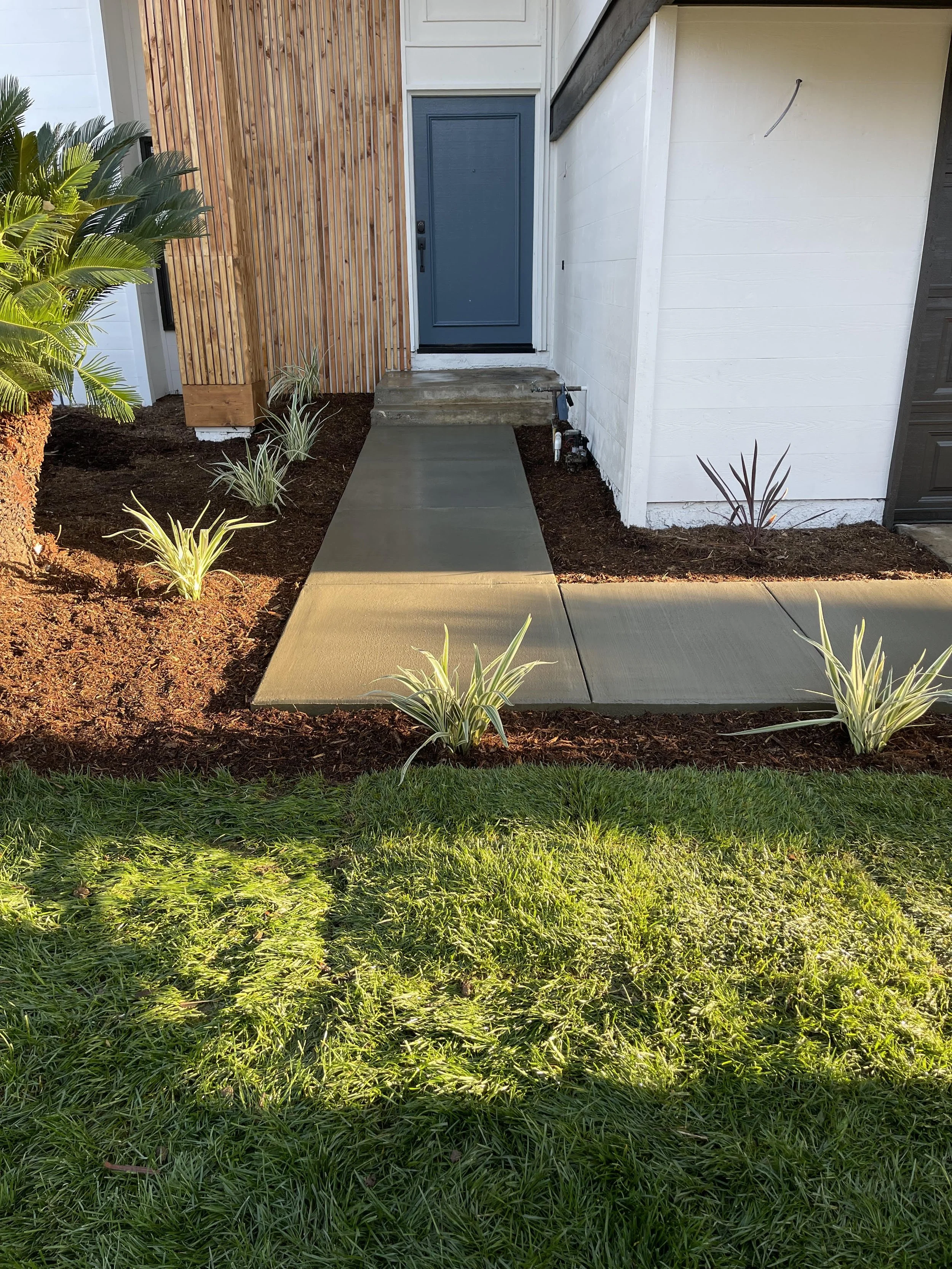 Front entry of a house with a blue door, a concrete walkway, a small set of steps, landscaped garden with plants, and a grassy lawn in foreground.