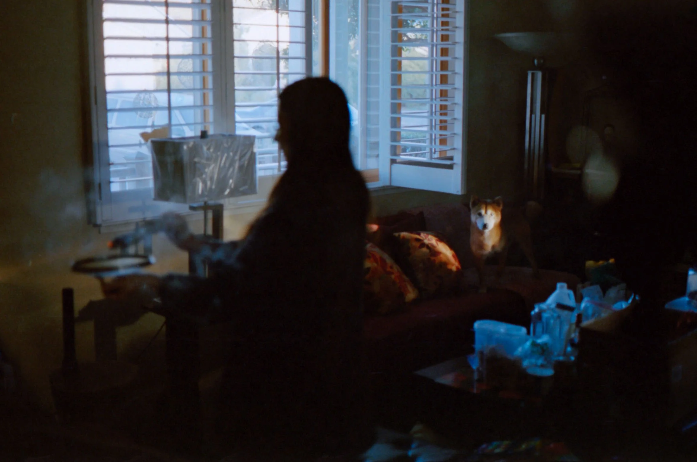 Jan 2021_Contax G1_Vision3_250D_34-gamma-1.jpg