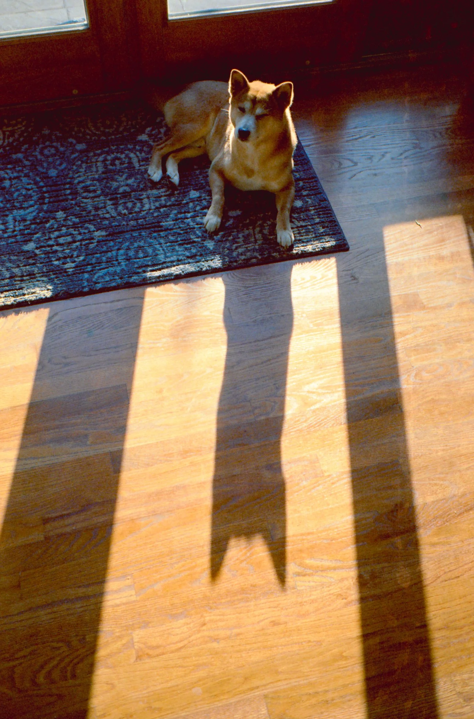 Jan 2021_LeicaMP_Vision3_500T_32-gamma-1.jpg