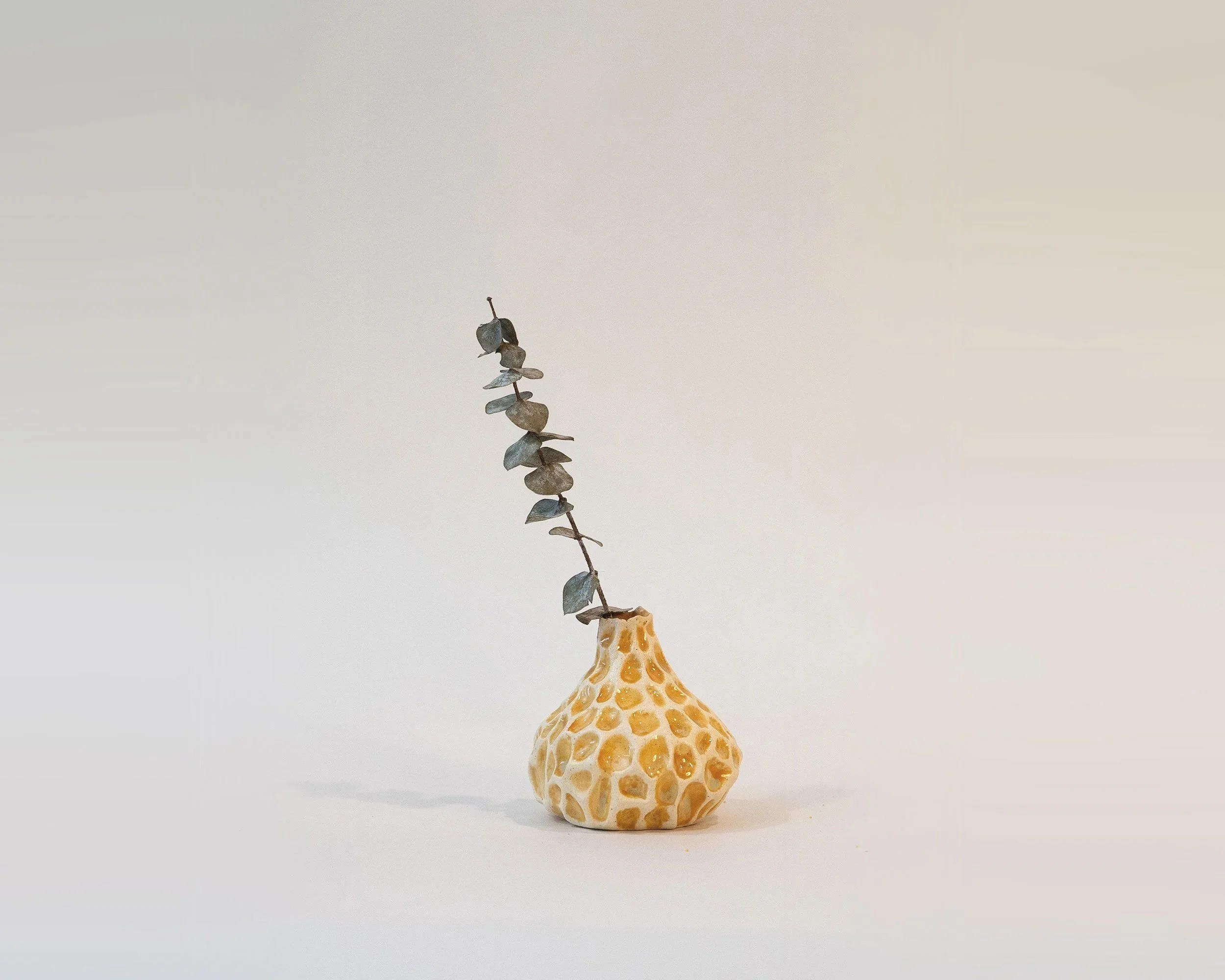 ceramic_yellow_1only_2500px.jpg