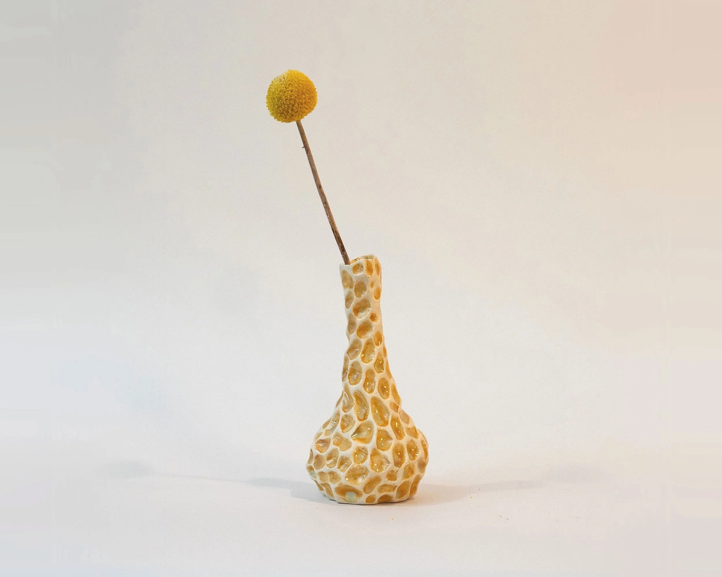 ceramic_yellow_2only_2500px.jpg