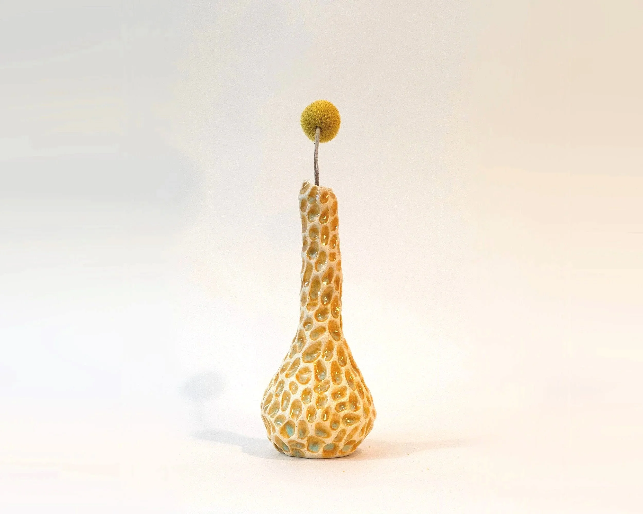ceramic_yellow_3only_2500px.jpg
