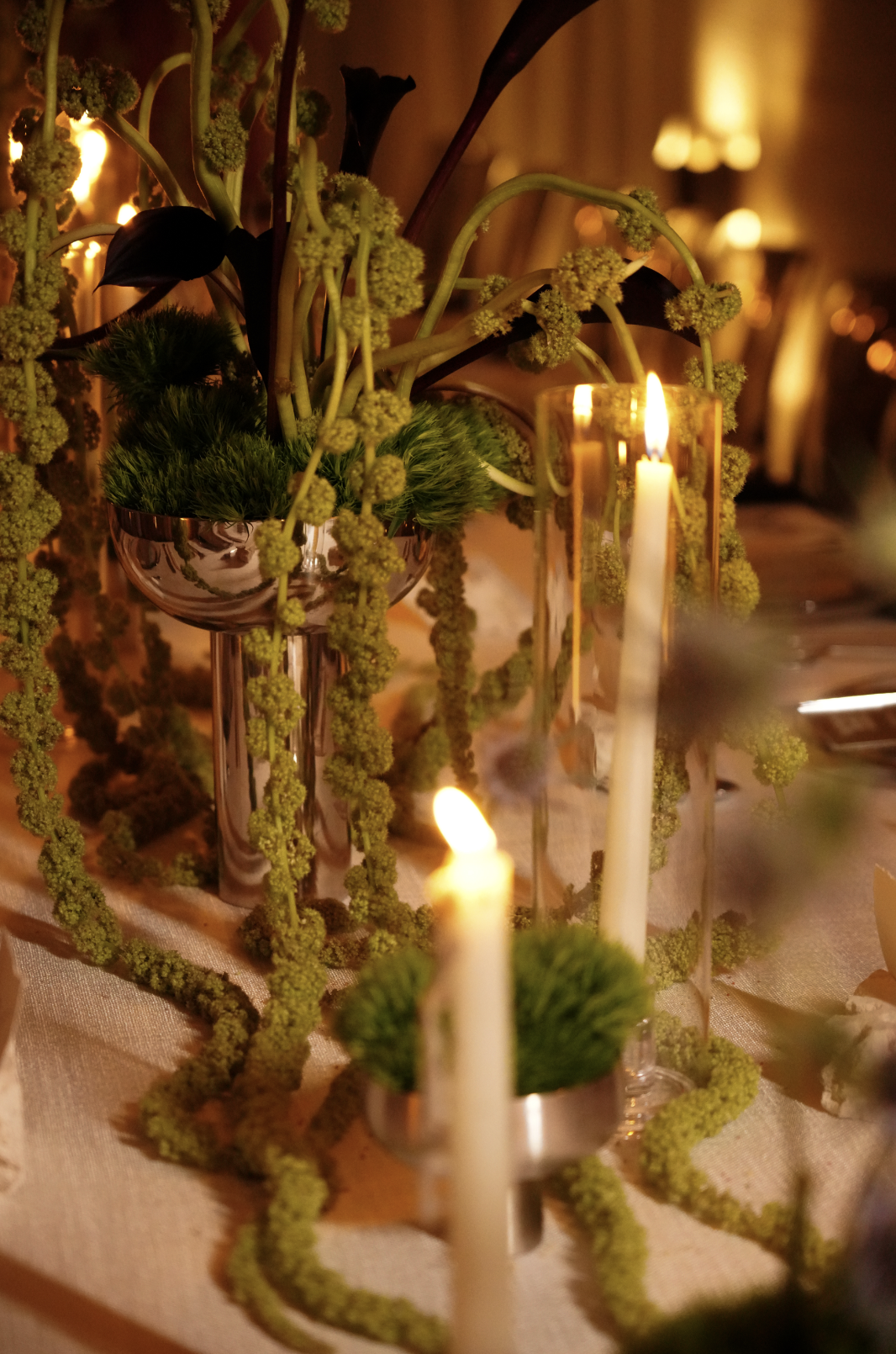 Screenshot 2026-02-11 at 5.06.52 PM.png