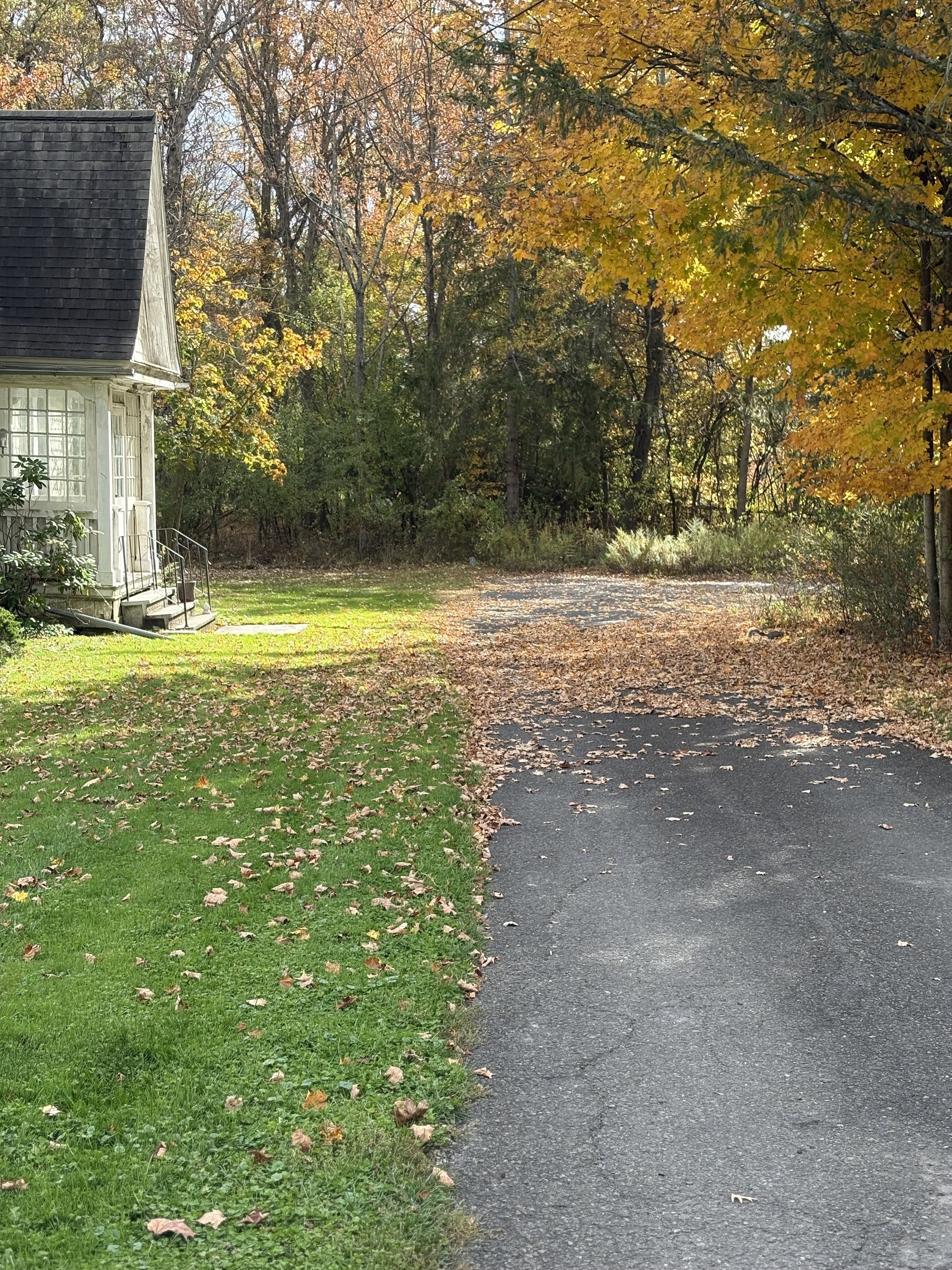 Driveway with ample parking