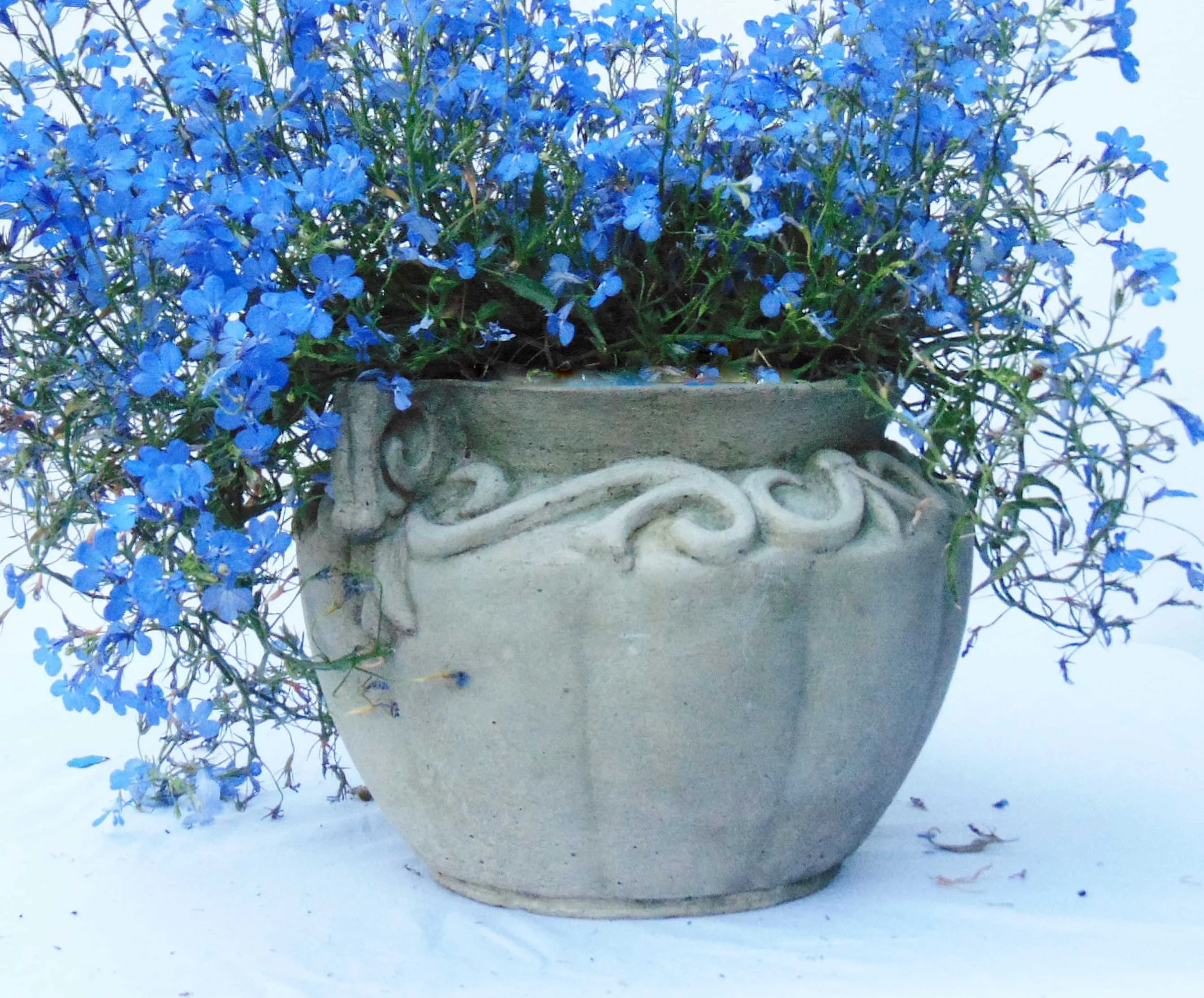 rustic stone flower pot