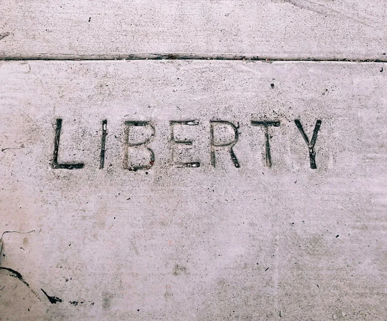 This Thing We Call Liberty