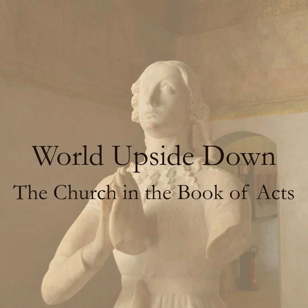 The Heavenly Vision of the Church