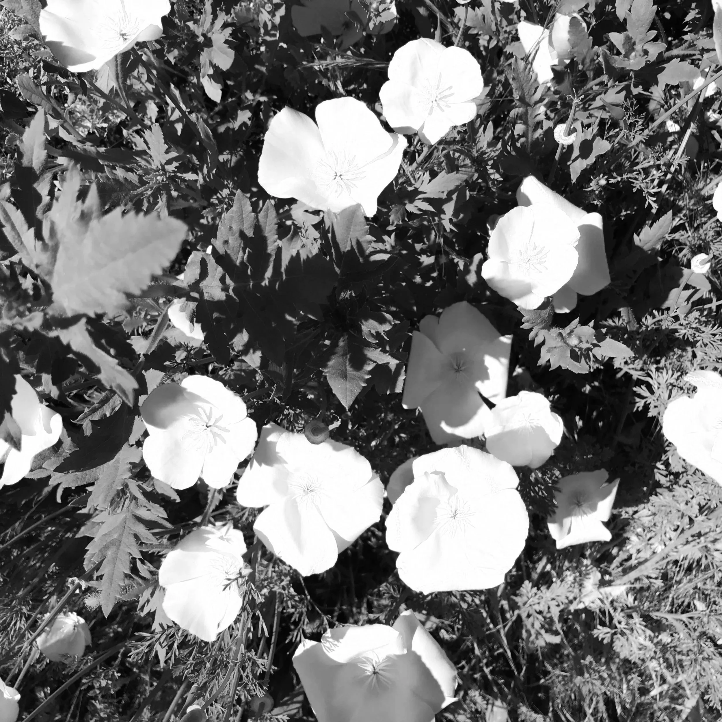 Loss and Abortion Support