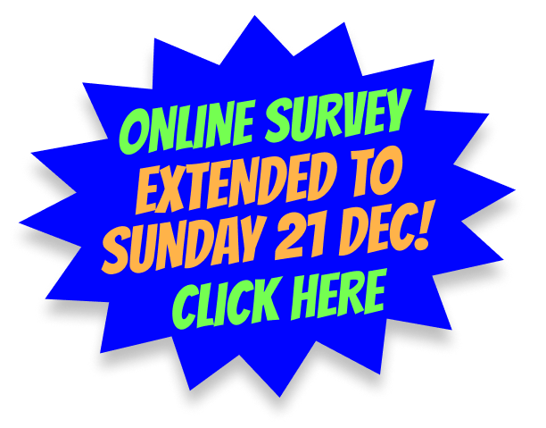 hyperlink to Google Form - extended deadline Sunday 21 December