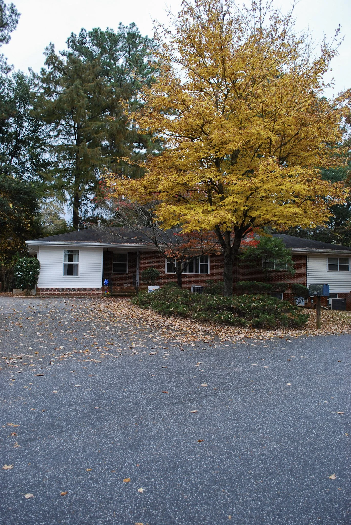 Athens Kids' Collective Building 2