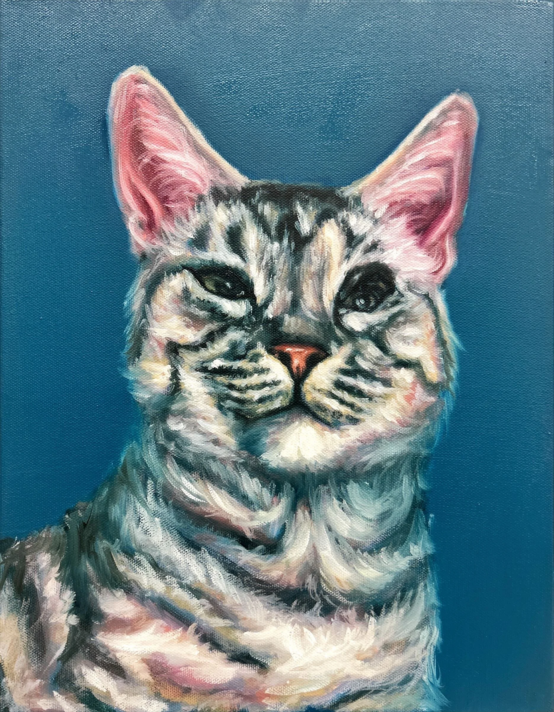"Portrait of Boo" commissioned portrait, oil on canvas, 11x14in, 2025
