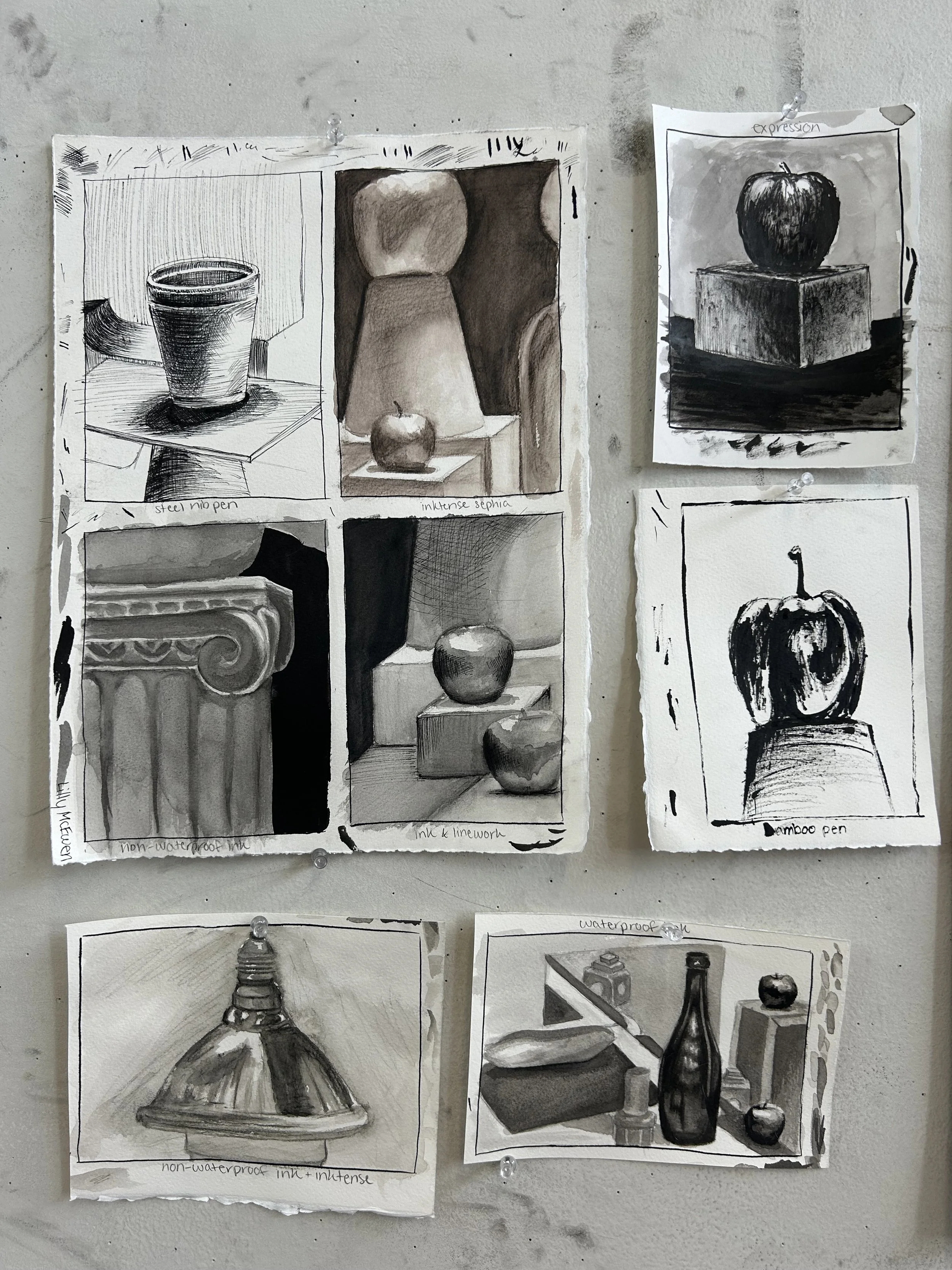 Various still life ink studies, 2024