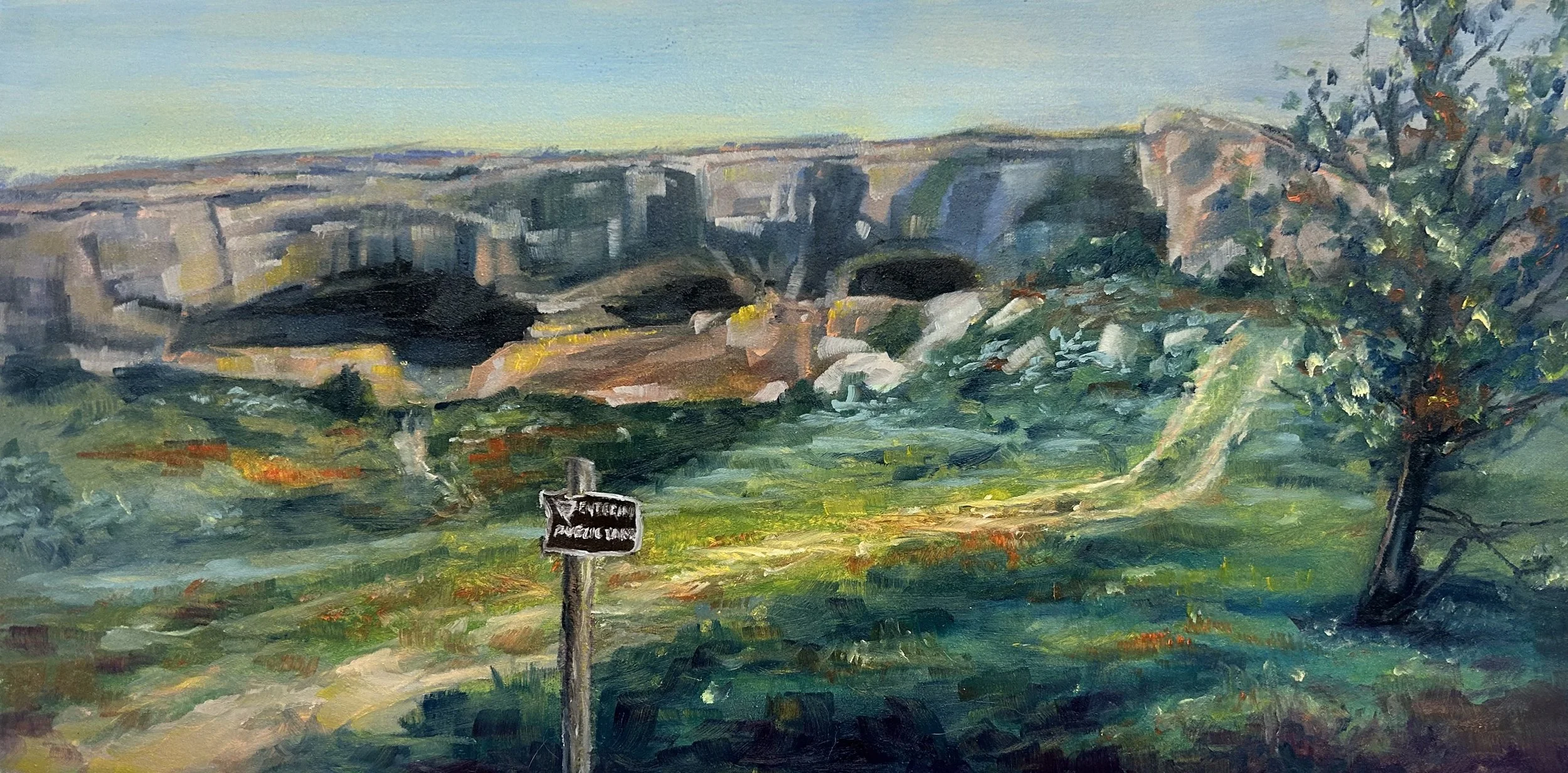 "Entering Public Lands: help keep your land clean" oil on panel, 10x20in, 2025