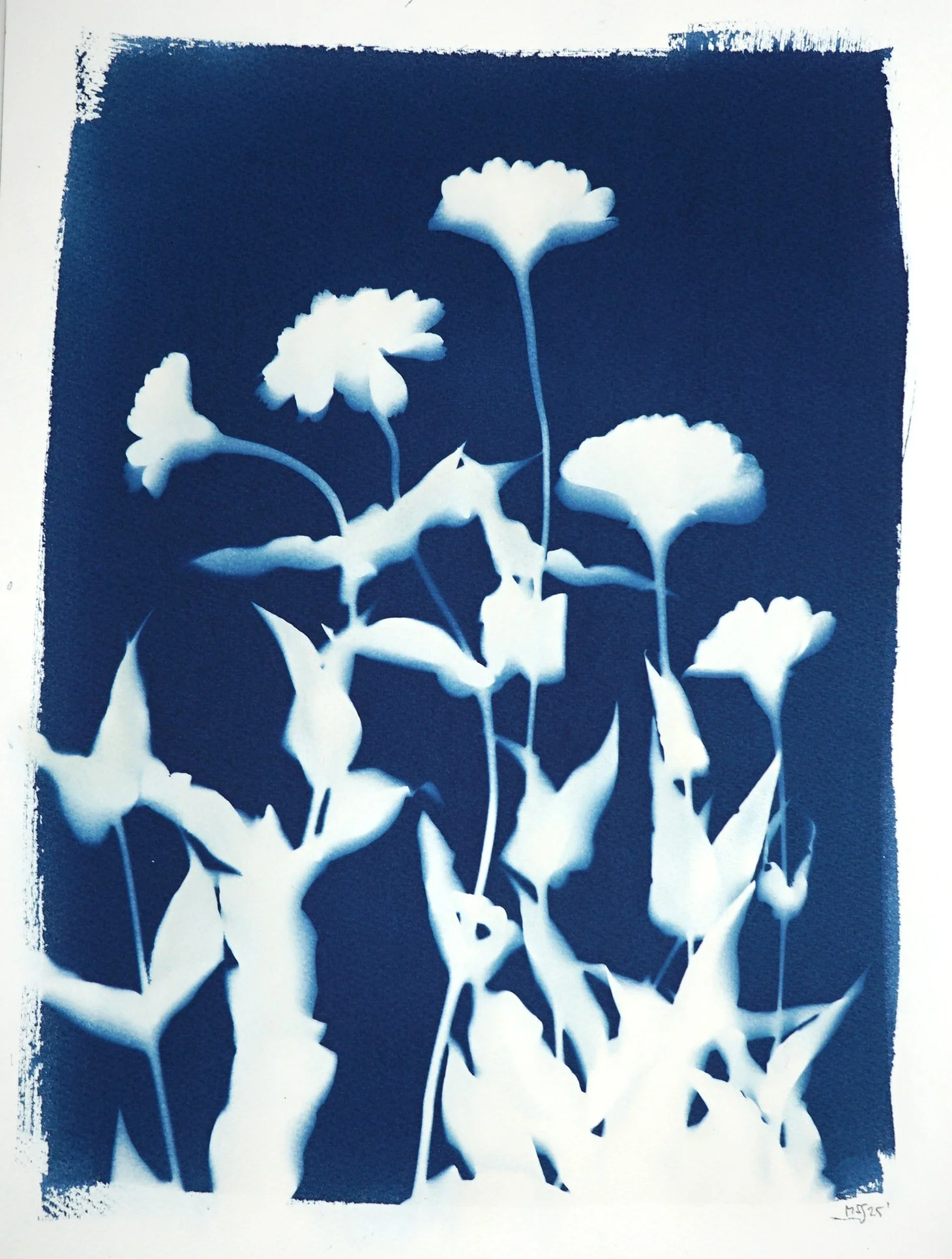 2025-FLOWERSZ1-12x16da.jpg