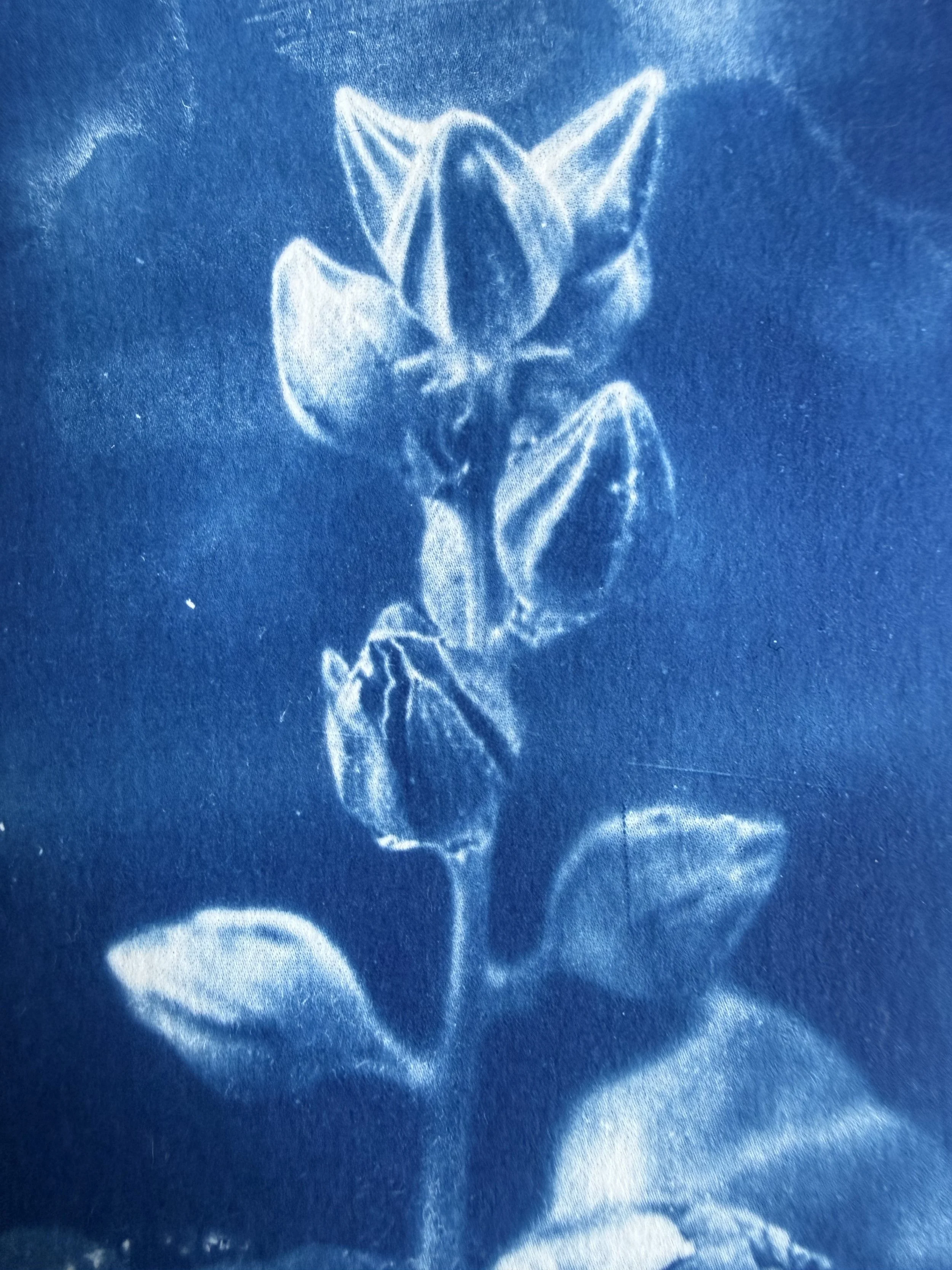 Sand art of a flower with leaves on a blue background.
