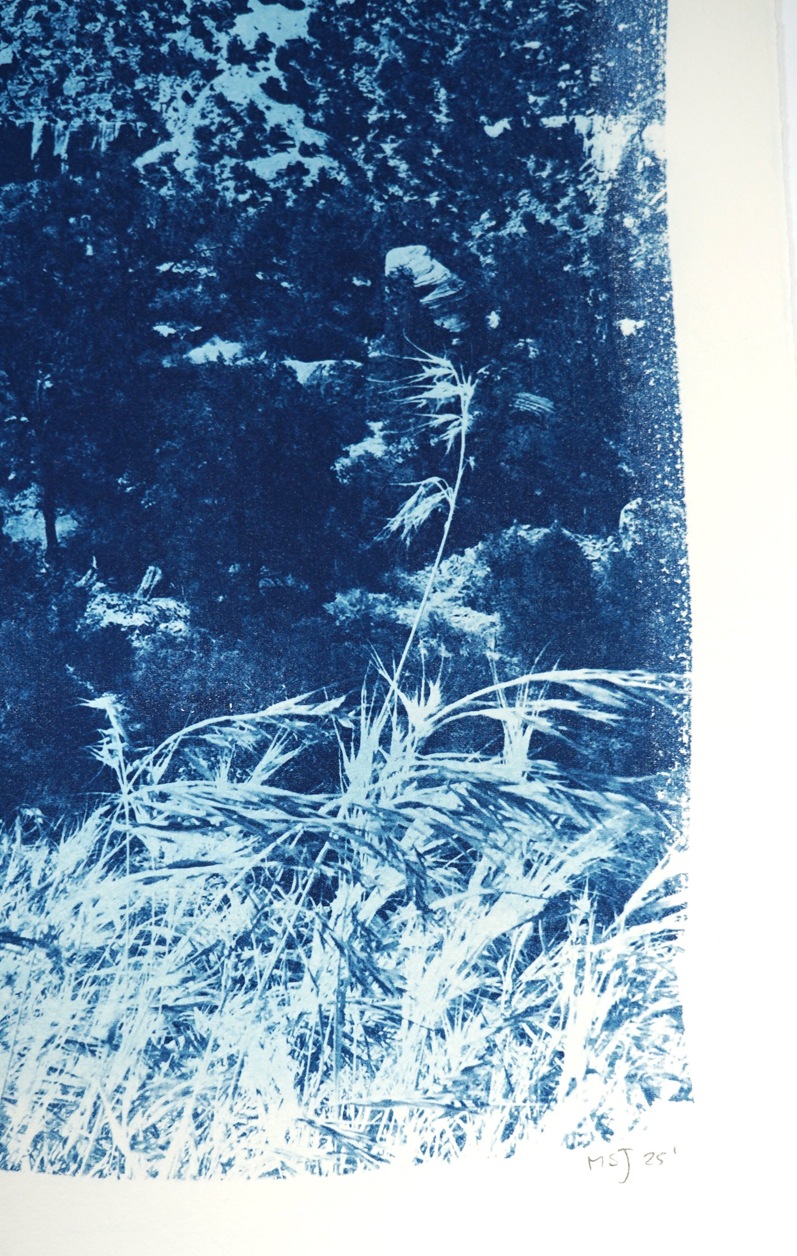 2025-ZIONJM-12x18-6of30b.jpg