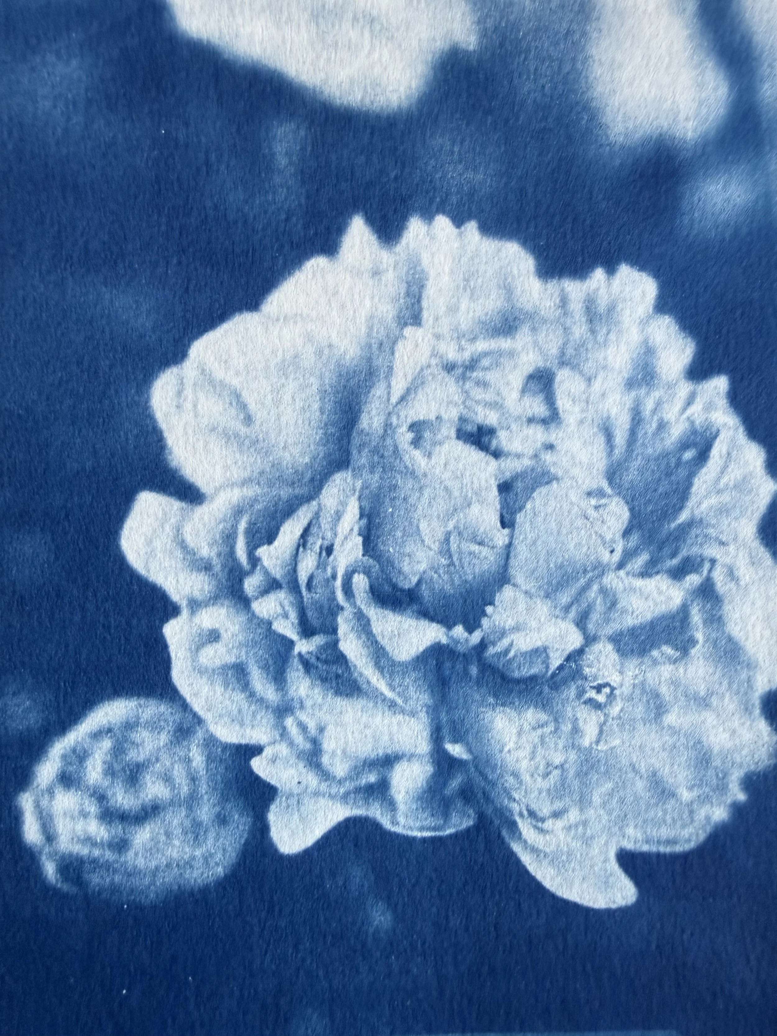 A close-up of a flower, possibly a peony, in shades of blue and white.