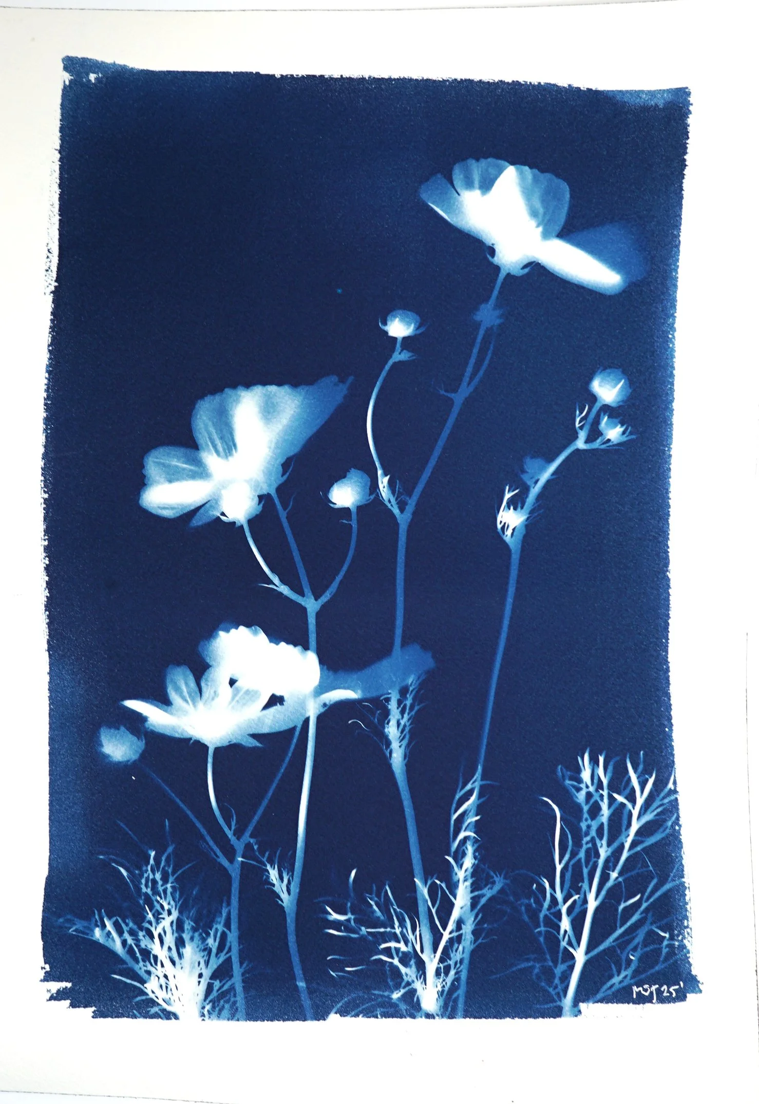2025-FLOWERSC1-10x14.jpg