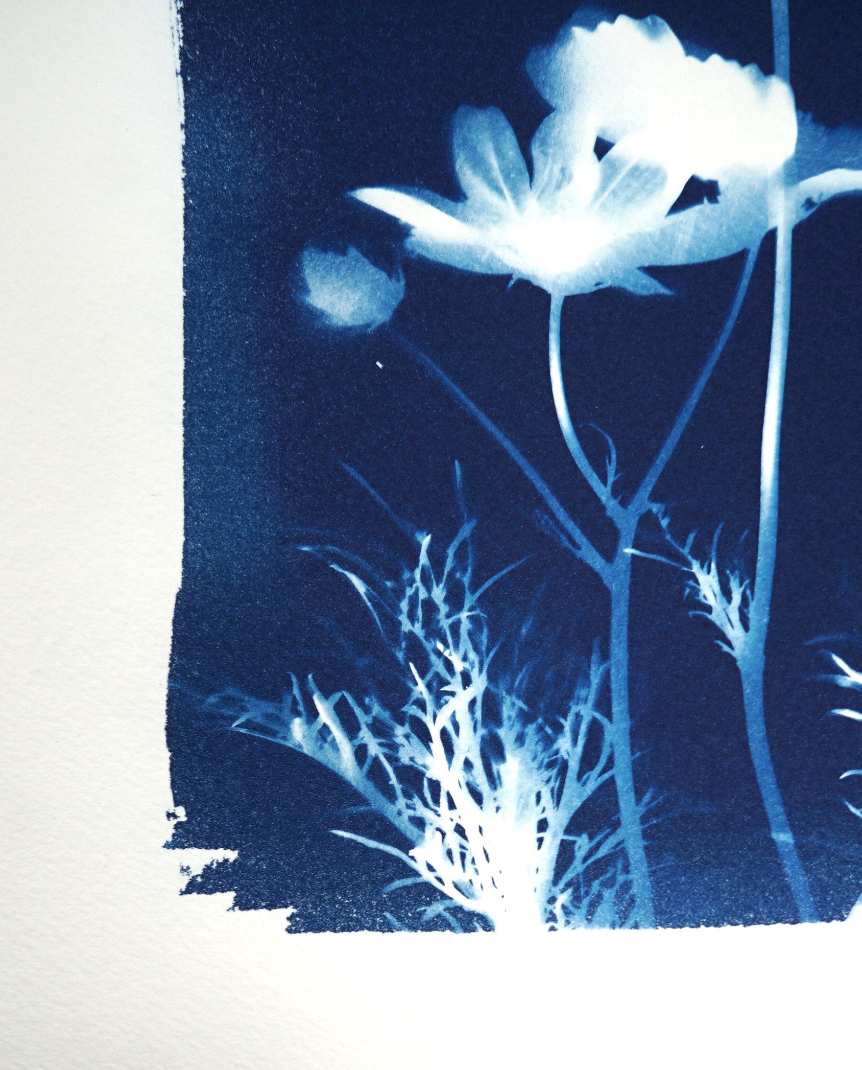 2025-FLOWERSC1-10x14c.jpg