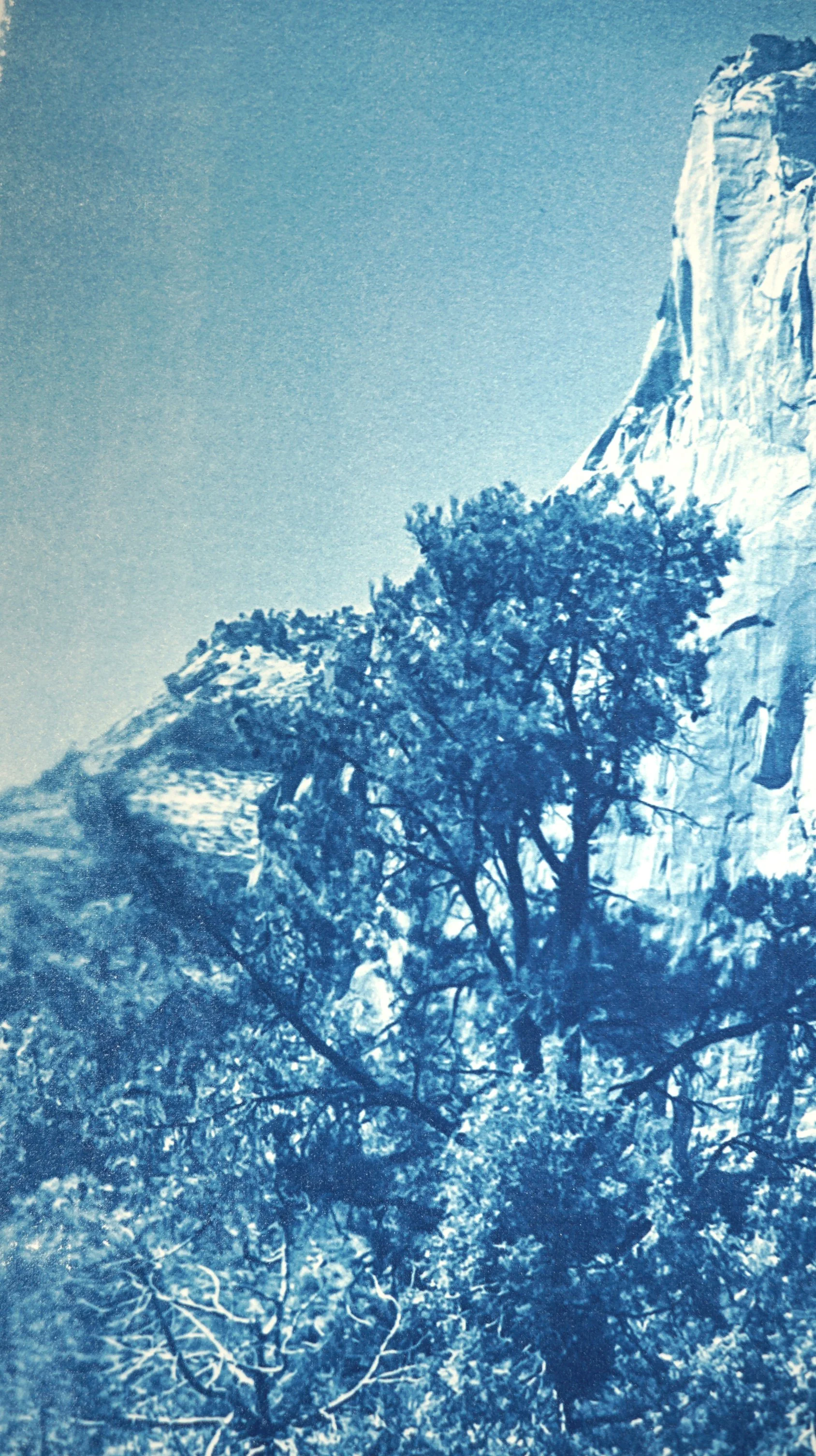 2025-ZIONABRAHAM-12x18-10of30eJPG.jpg
