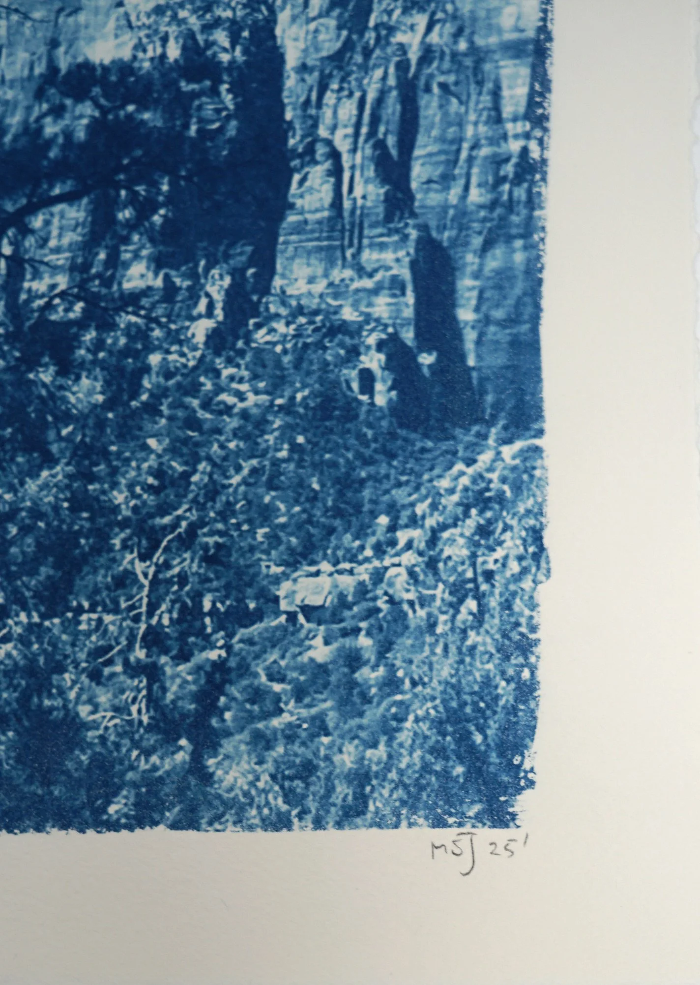 2025-ZIONABRAHAM-12x18-10of30c.jpg