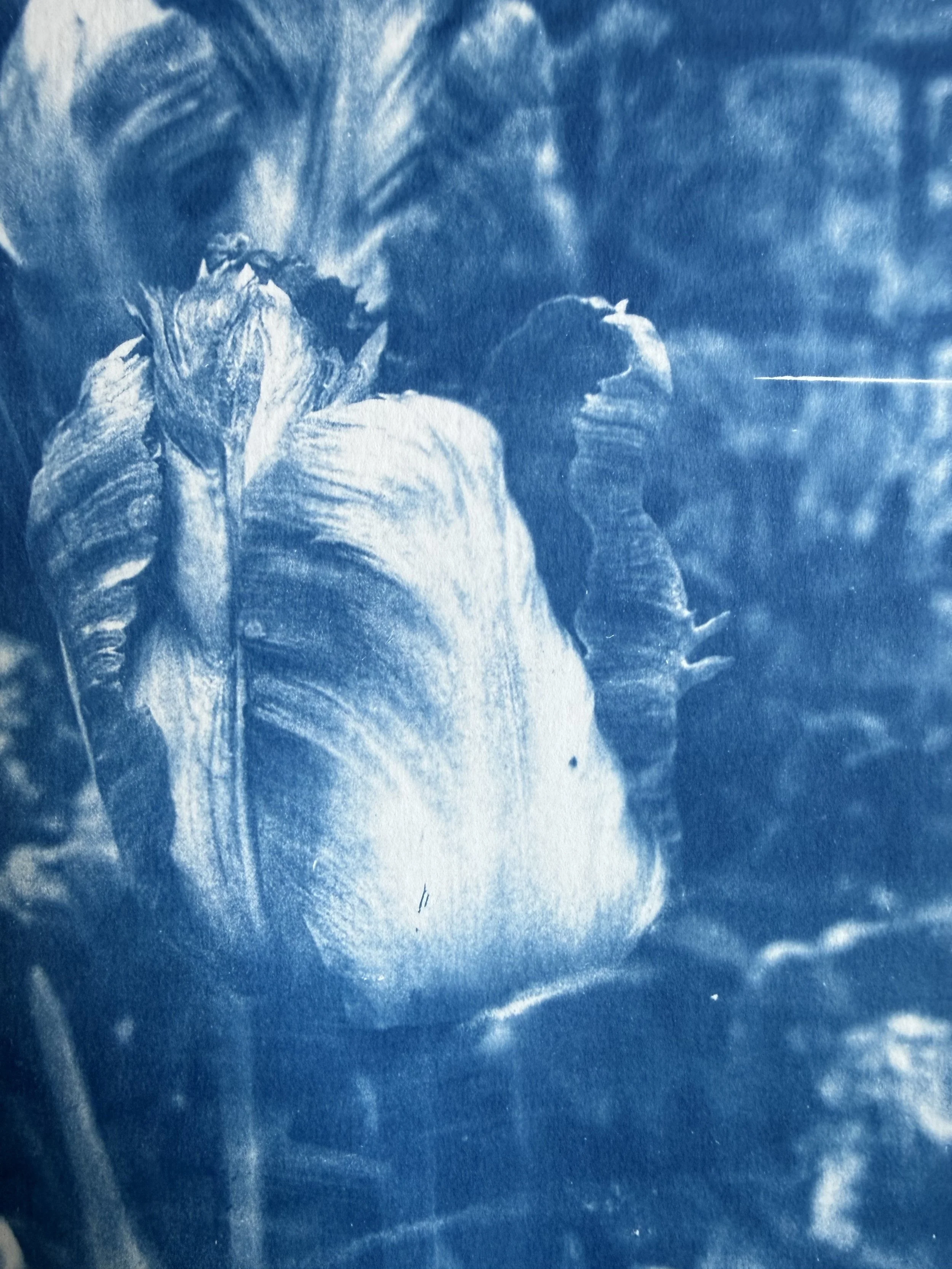 Close-up of a flower with large, layered petals, possibly an iris, in shades of blue and white.