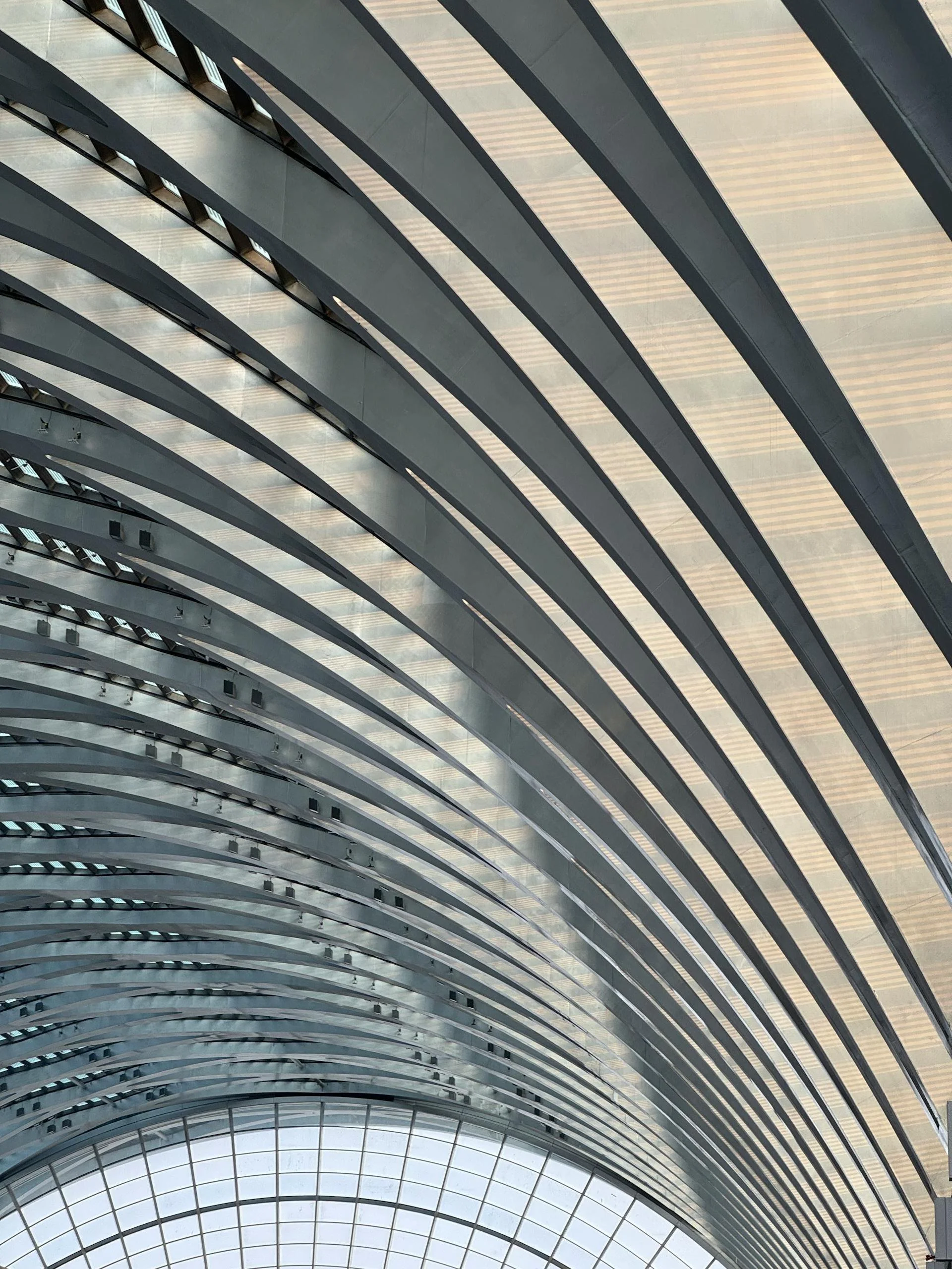 euanhallifax.com_image_asset