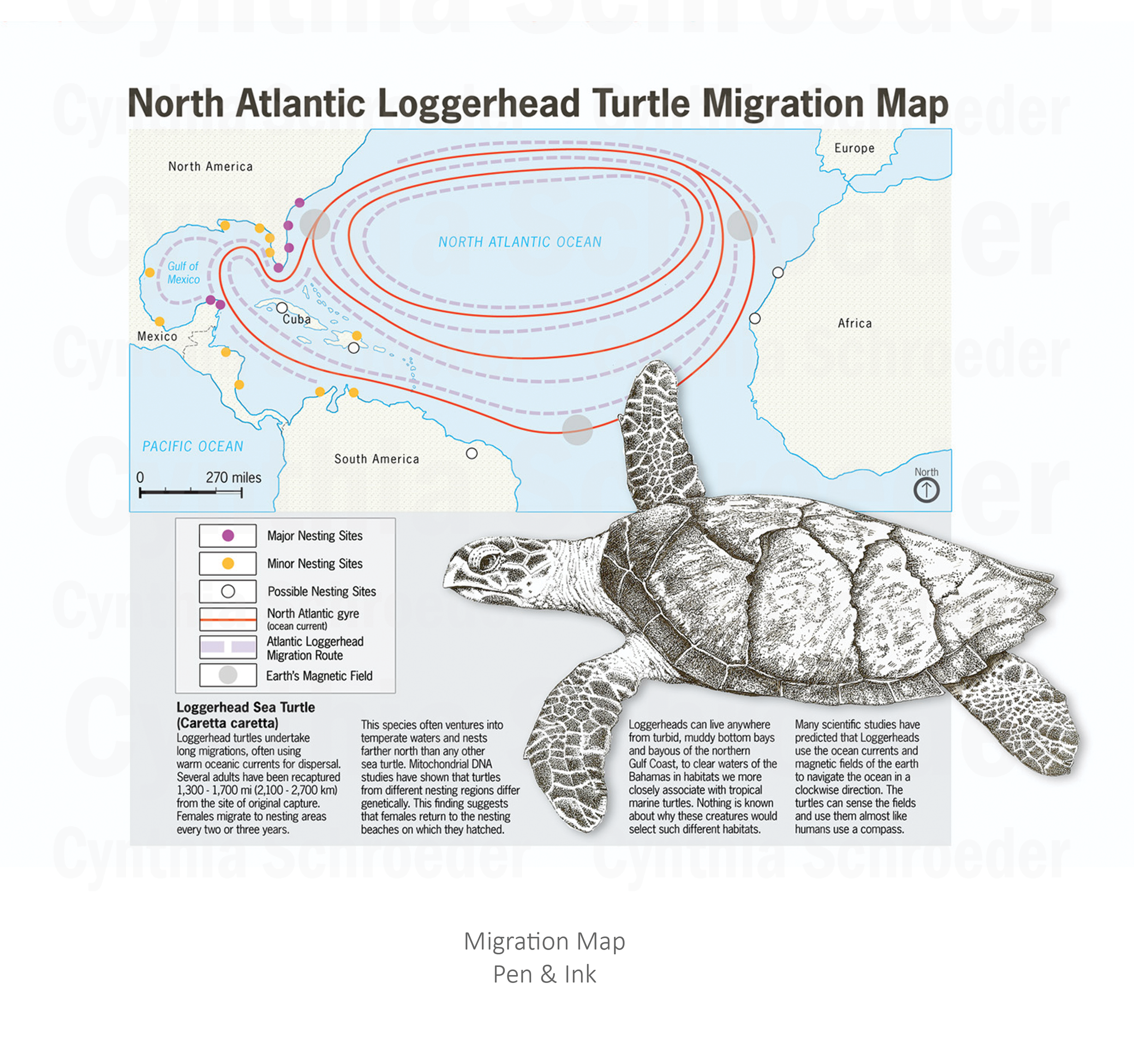 Migration Map (Pen & Ink)