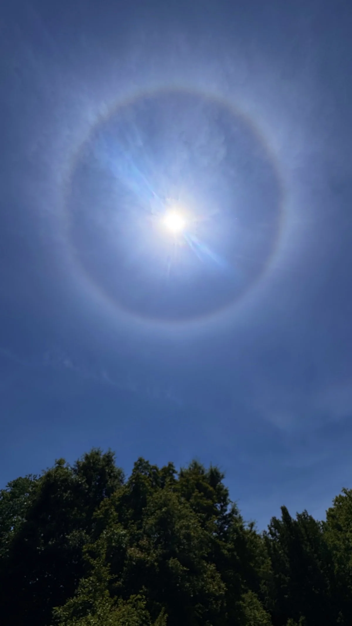 sun halo.jpg