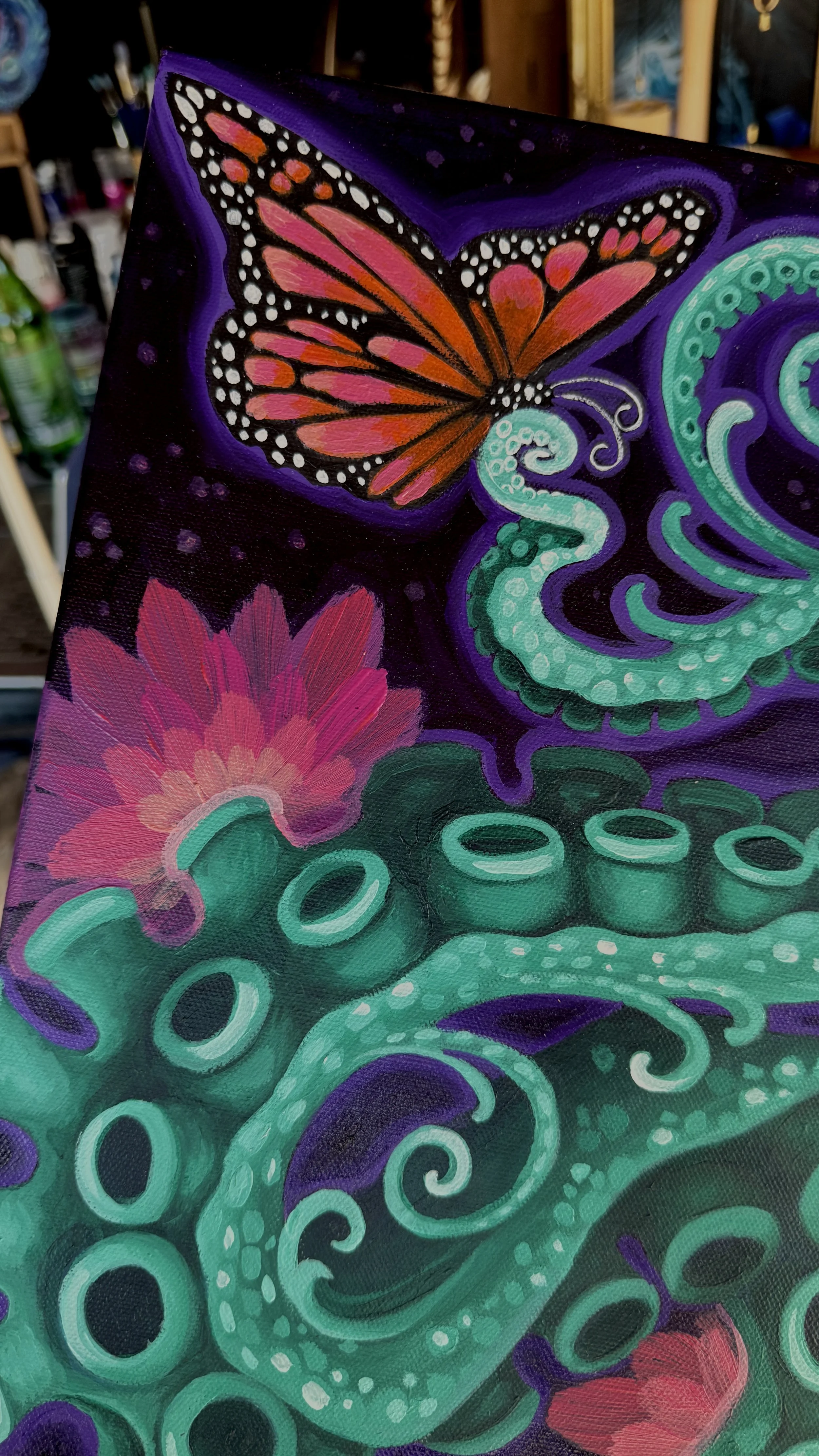 butterfly closeup.JPG