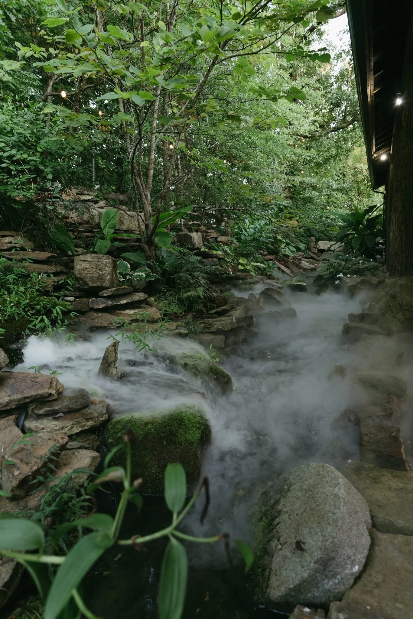 A lush green garden with a small flowing stream, rocks, and trees.